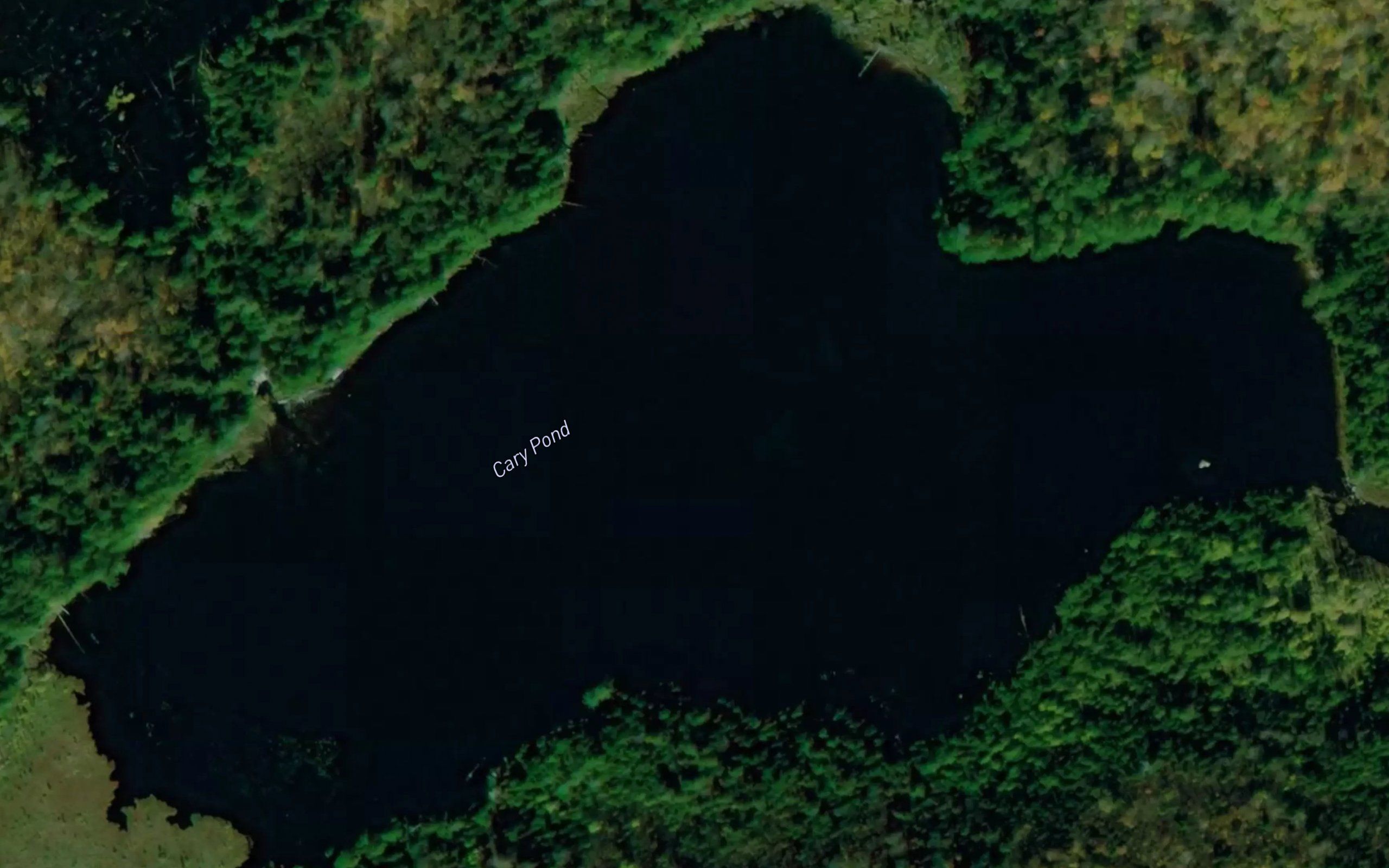 Cary Pond