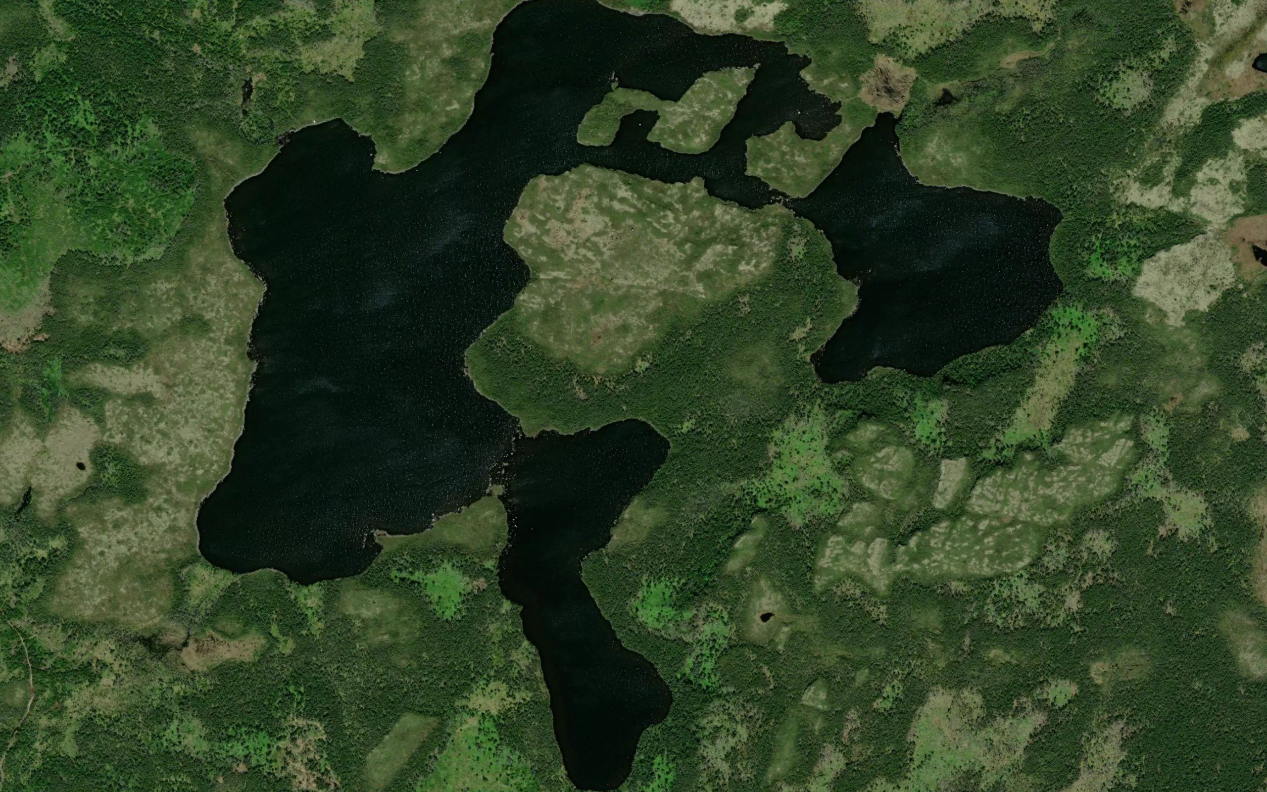 Tickle Pond