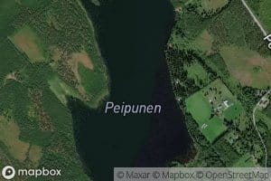 Peipunen