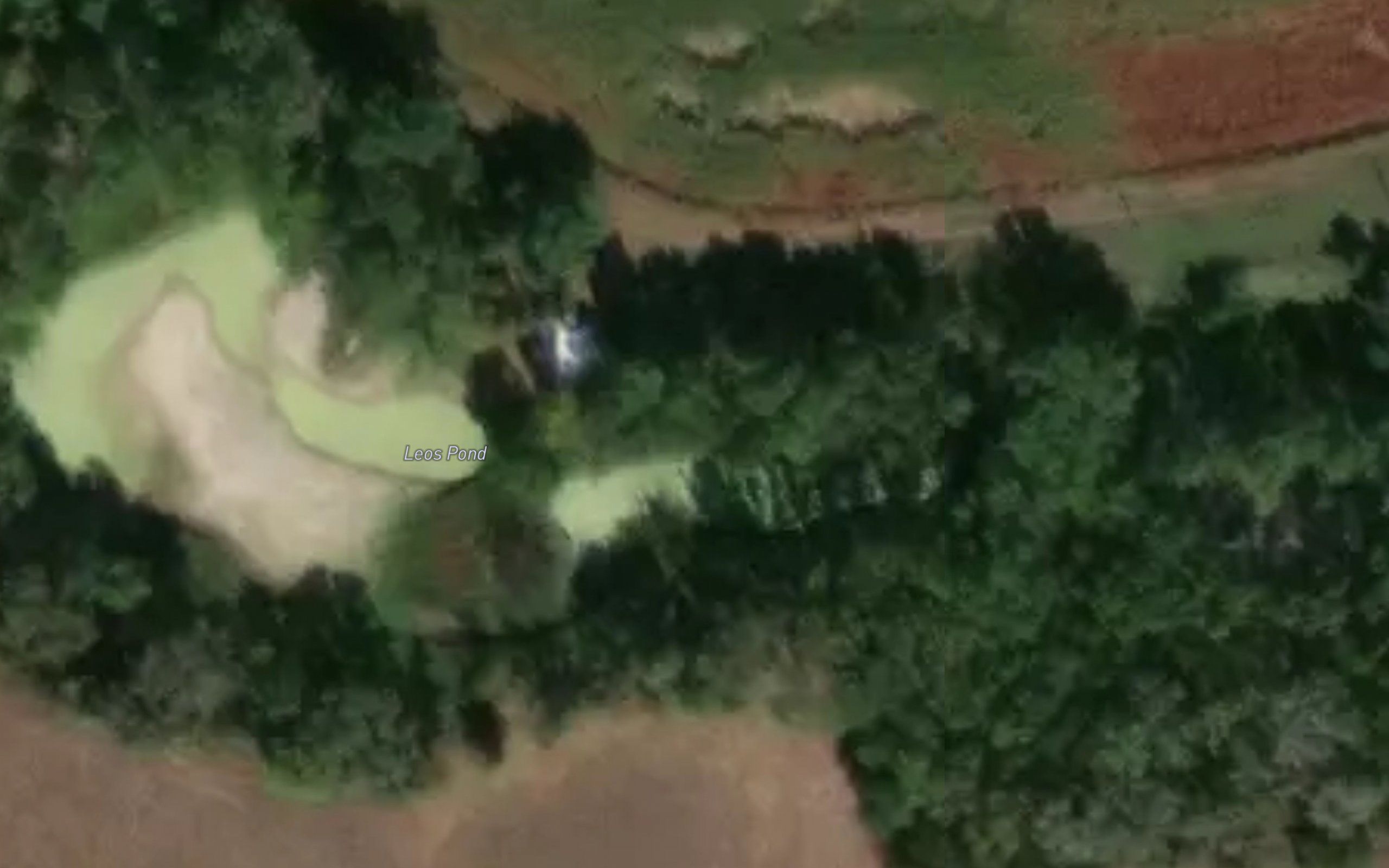 Leos Pond