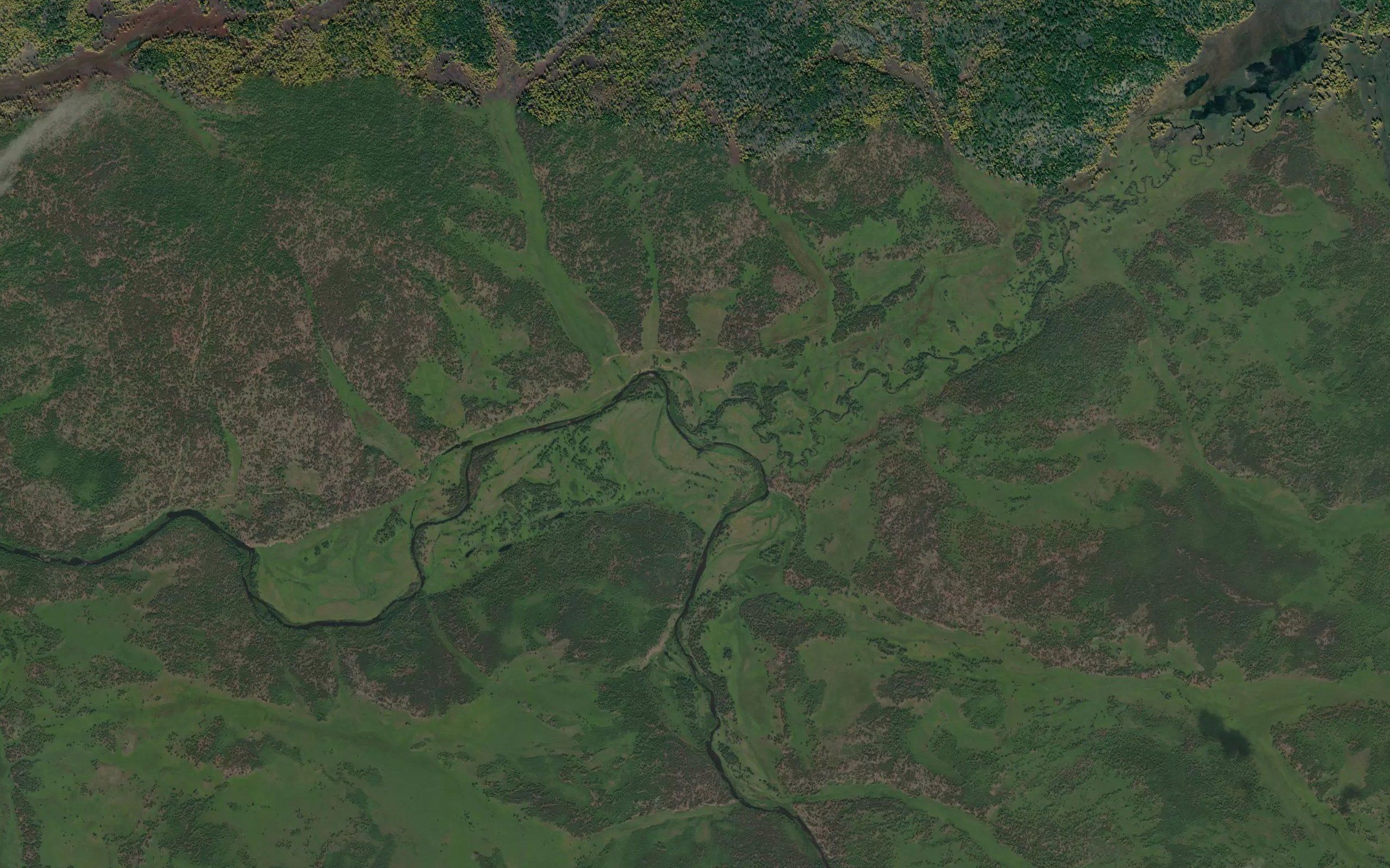 Zhidokhon