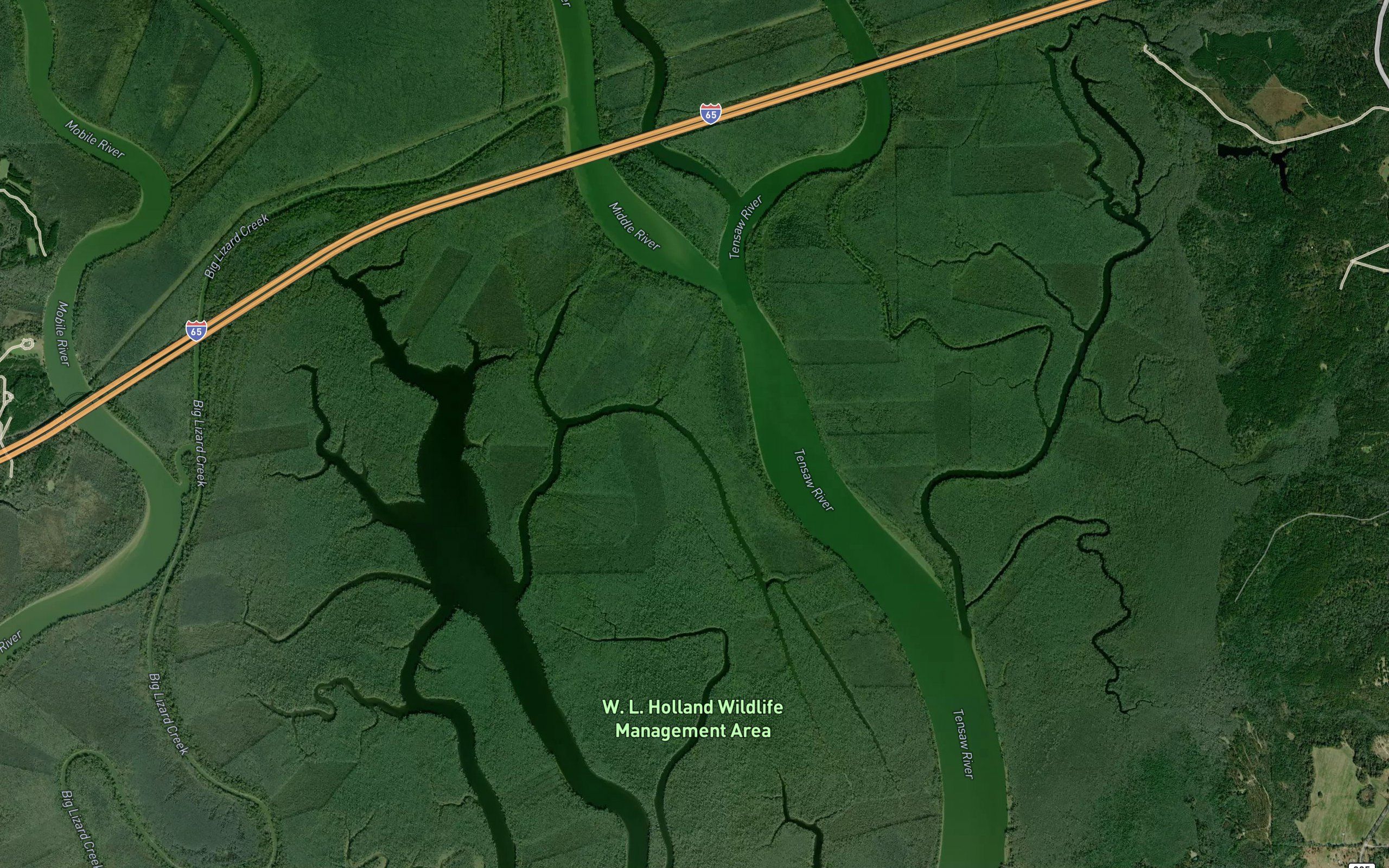 Maple Bayou