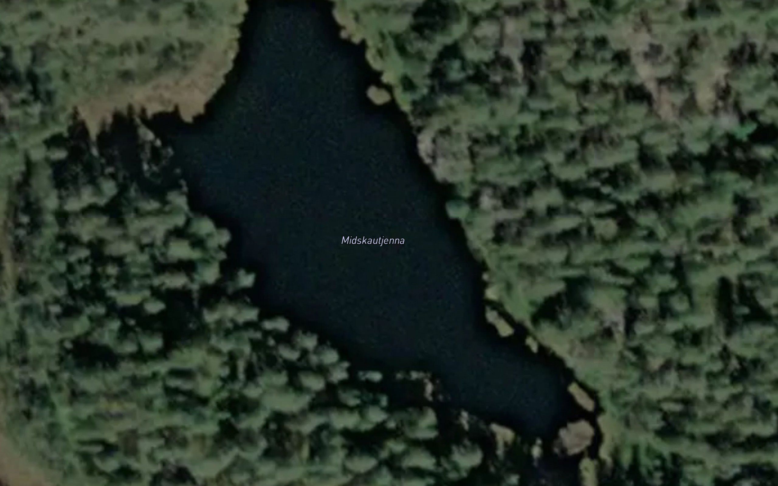 Midskautjenna