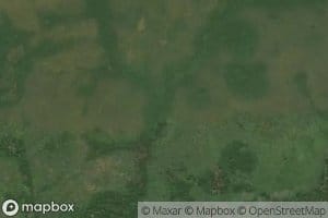 Nkounyi