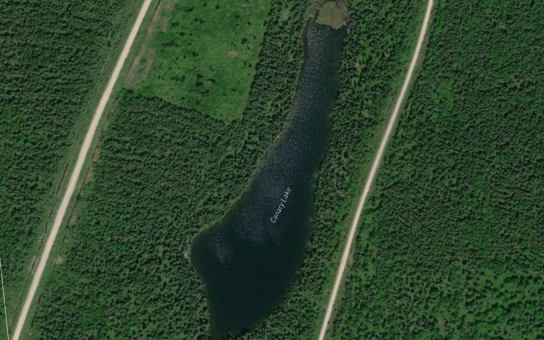 Satellite map of the Canary Lake
