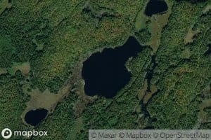 Feely Lake