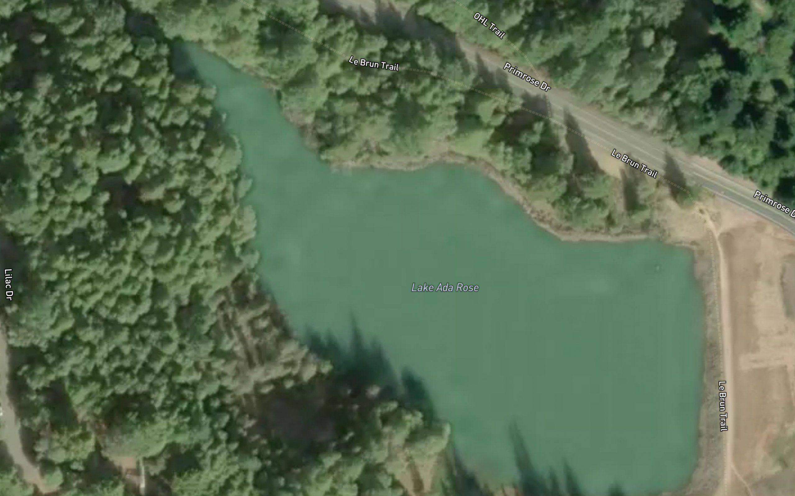 Lake Ada Rose