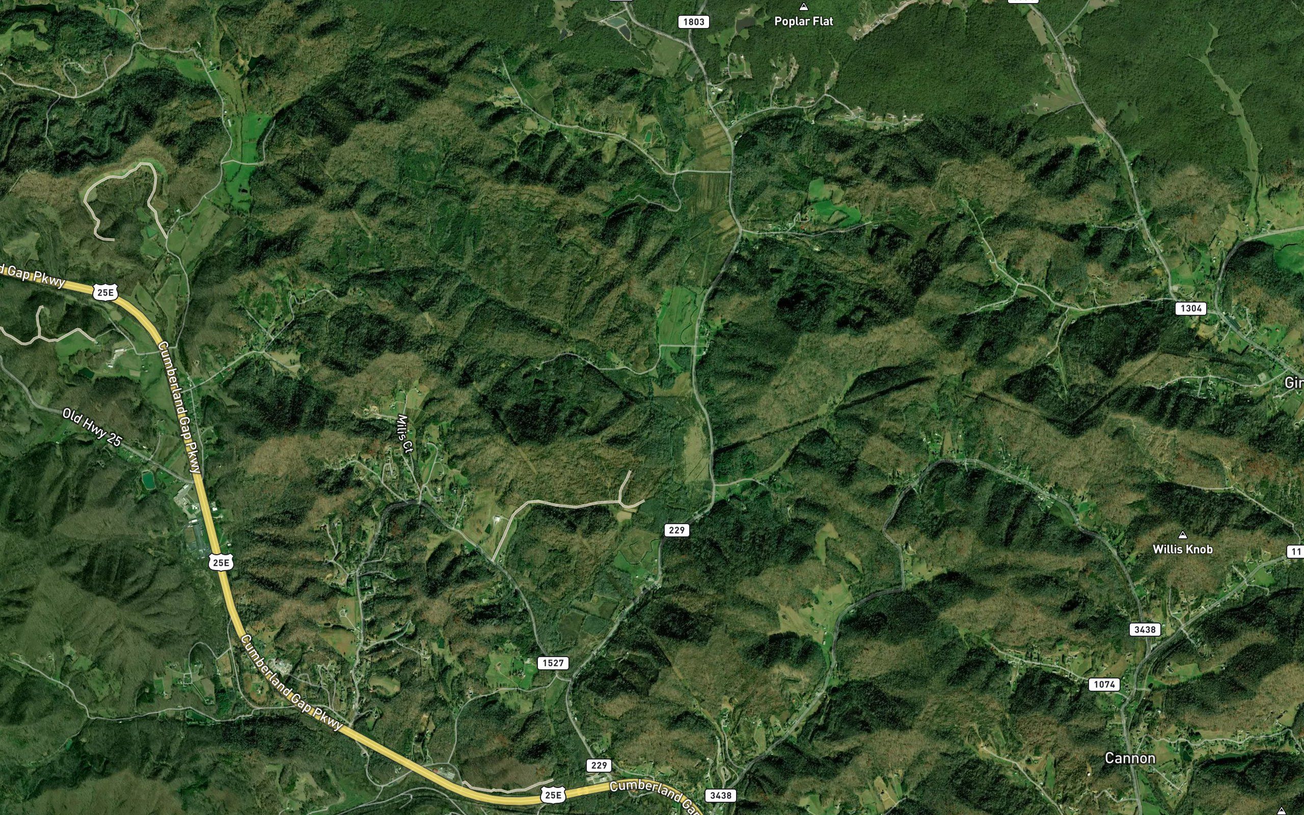 Asher Branch