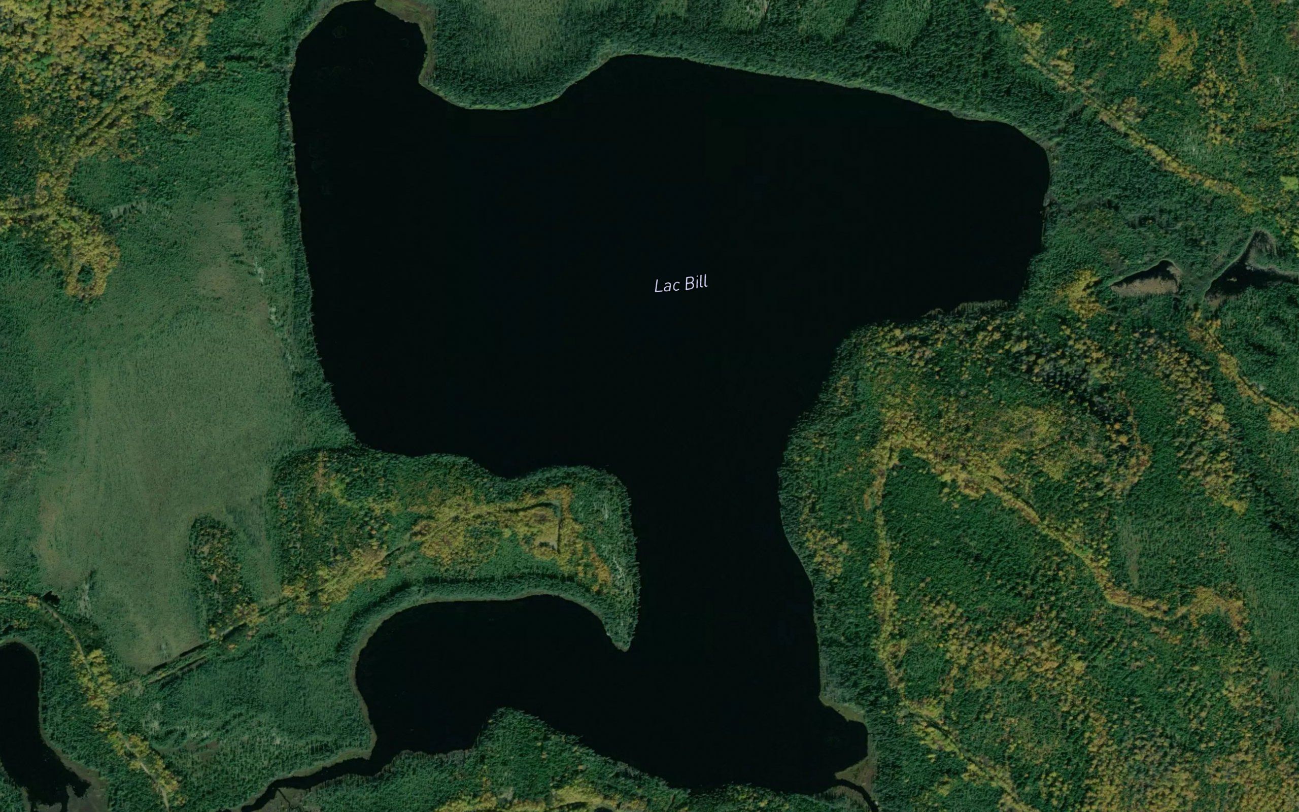 Lac Bill