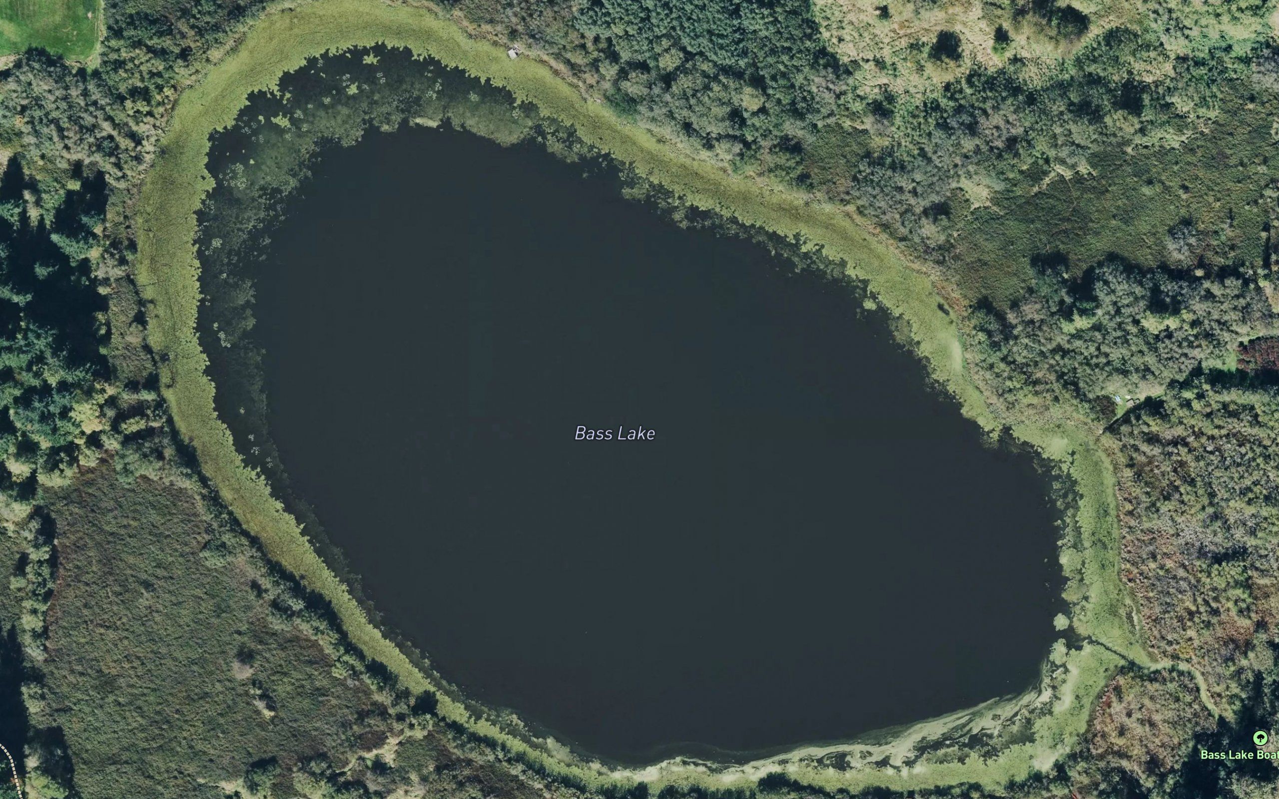 Bass Lake