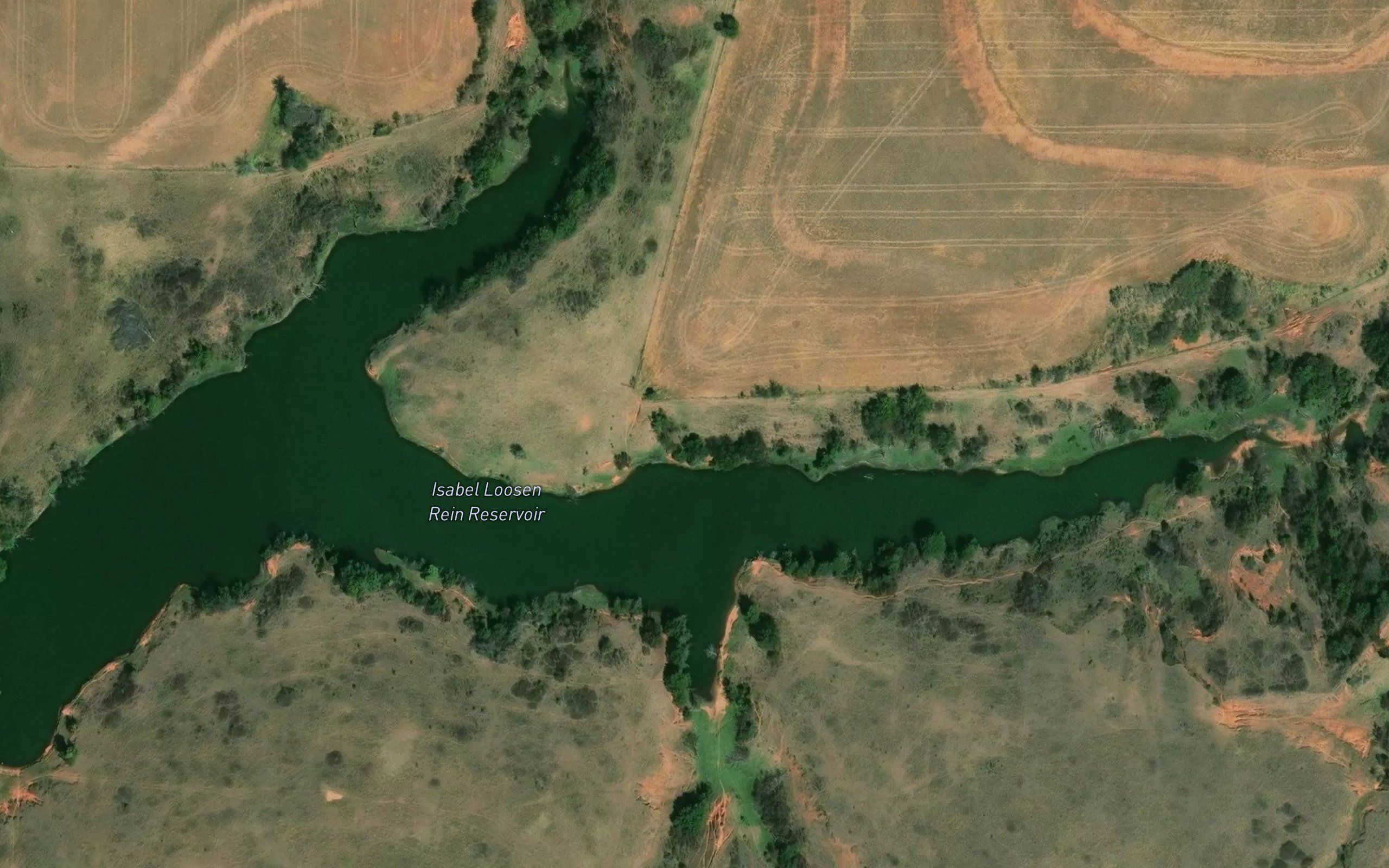 Isabel Loosen Rein Reservoir