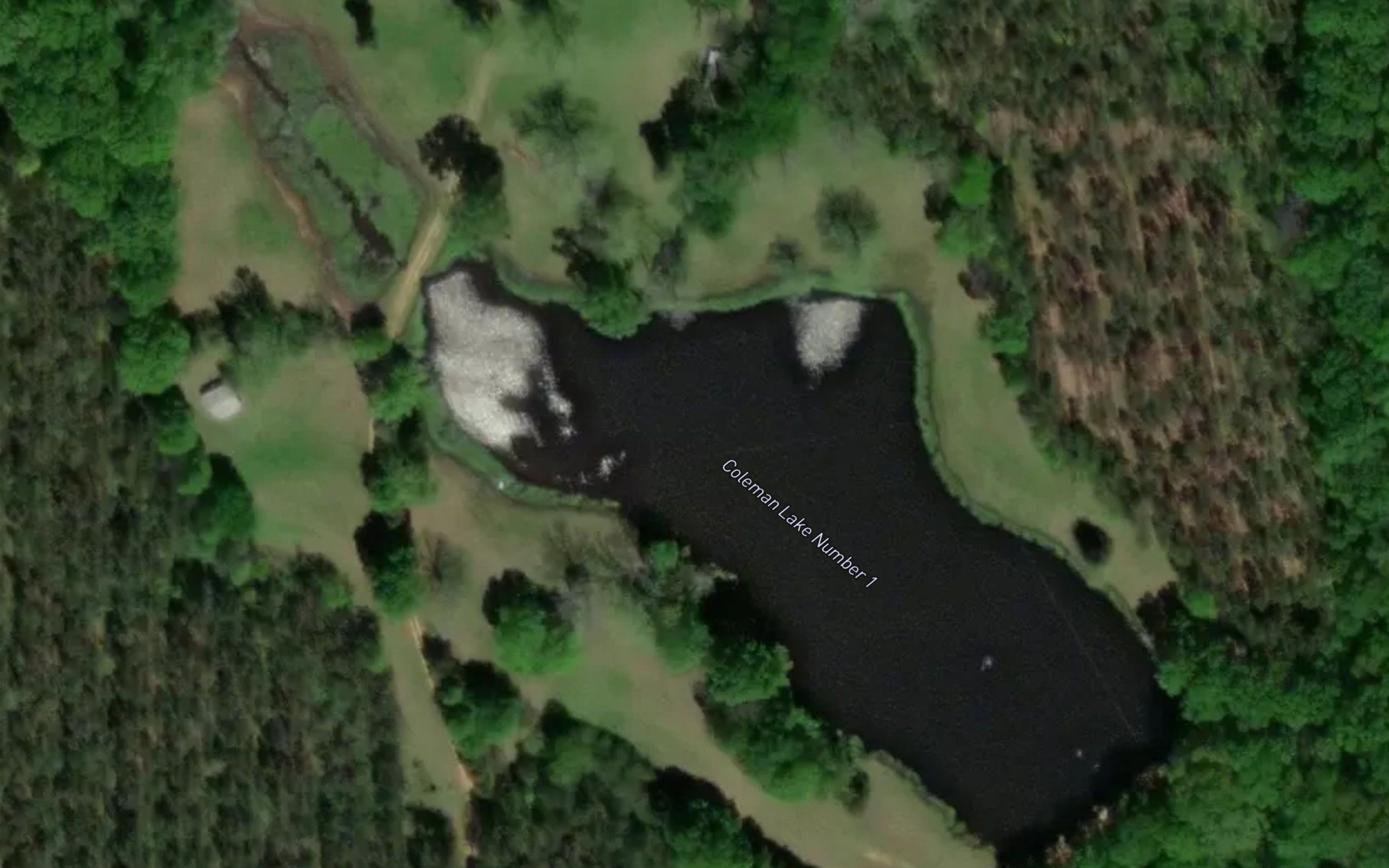 Coleman Lakes