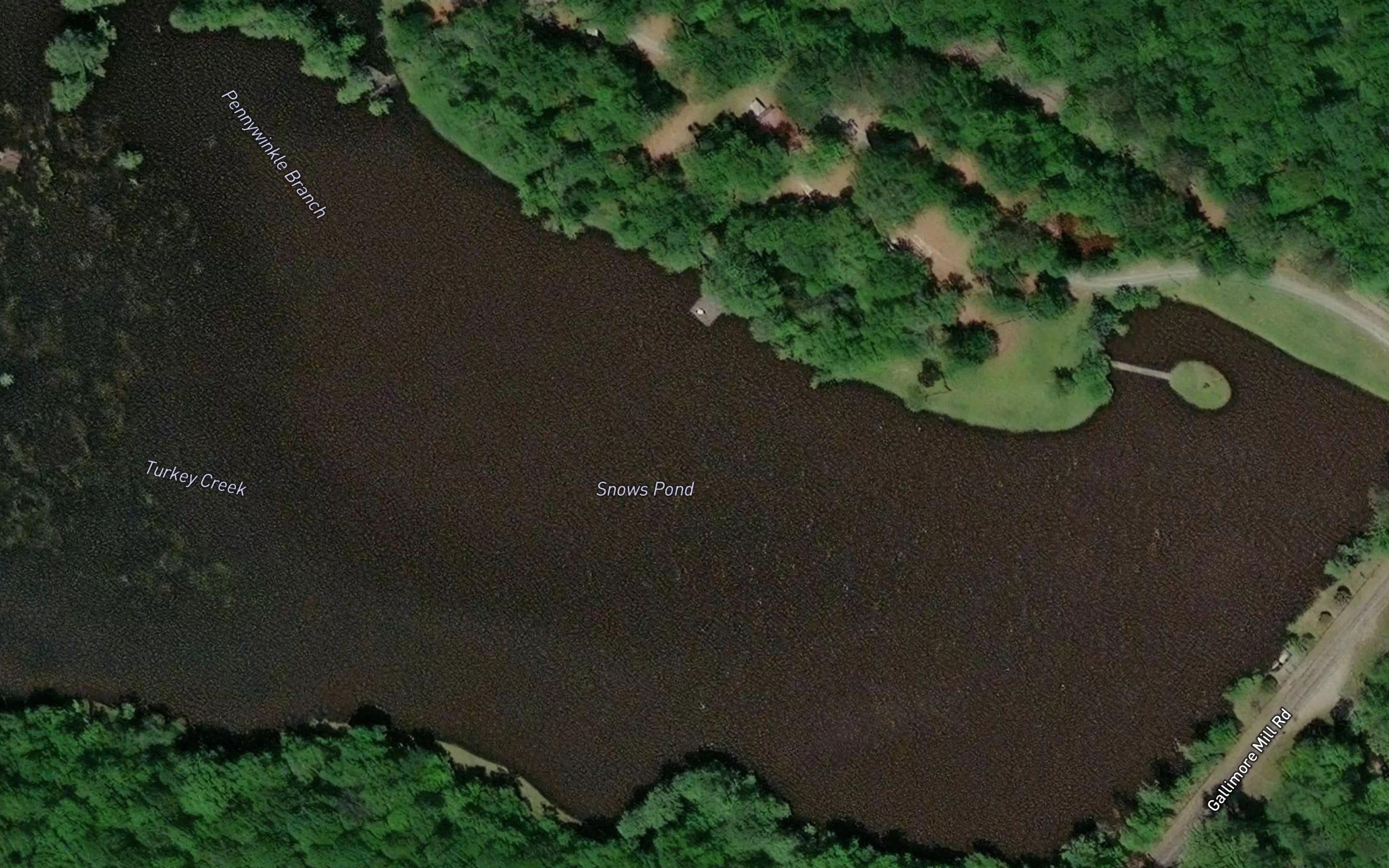 Snows Pond
