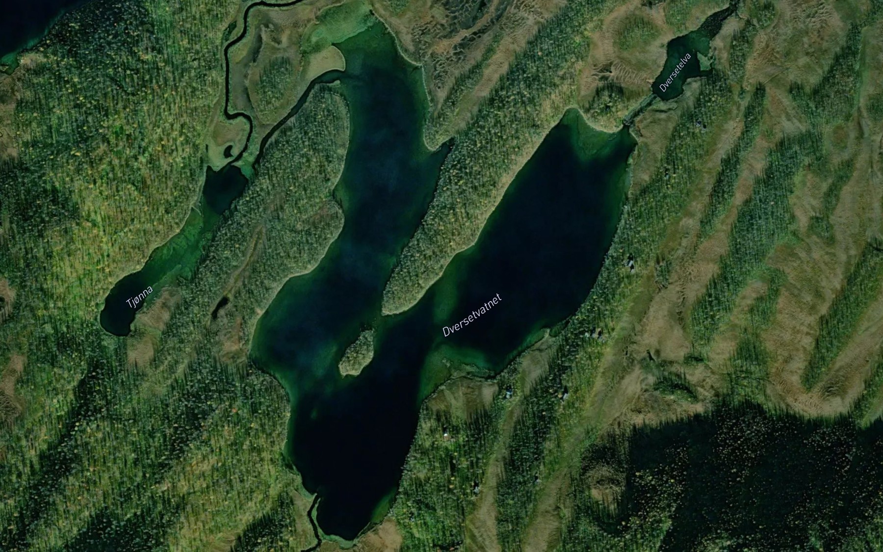 Satellite map of the Dversetvatnet