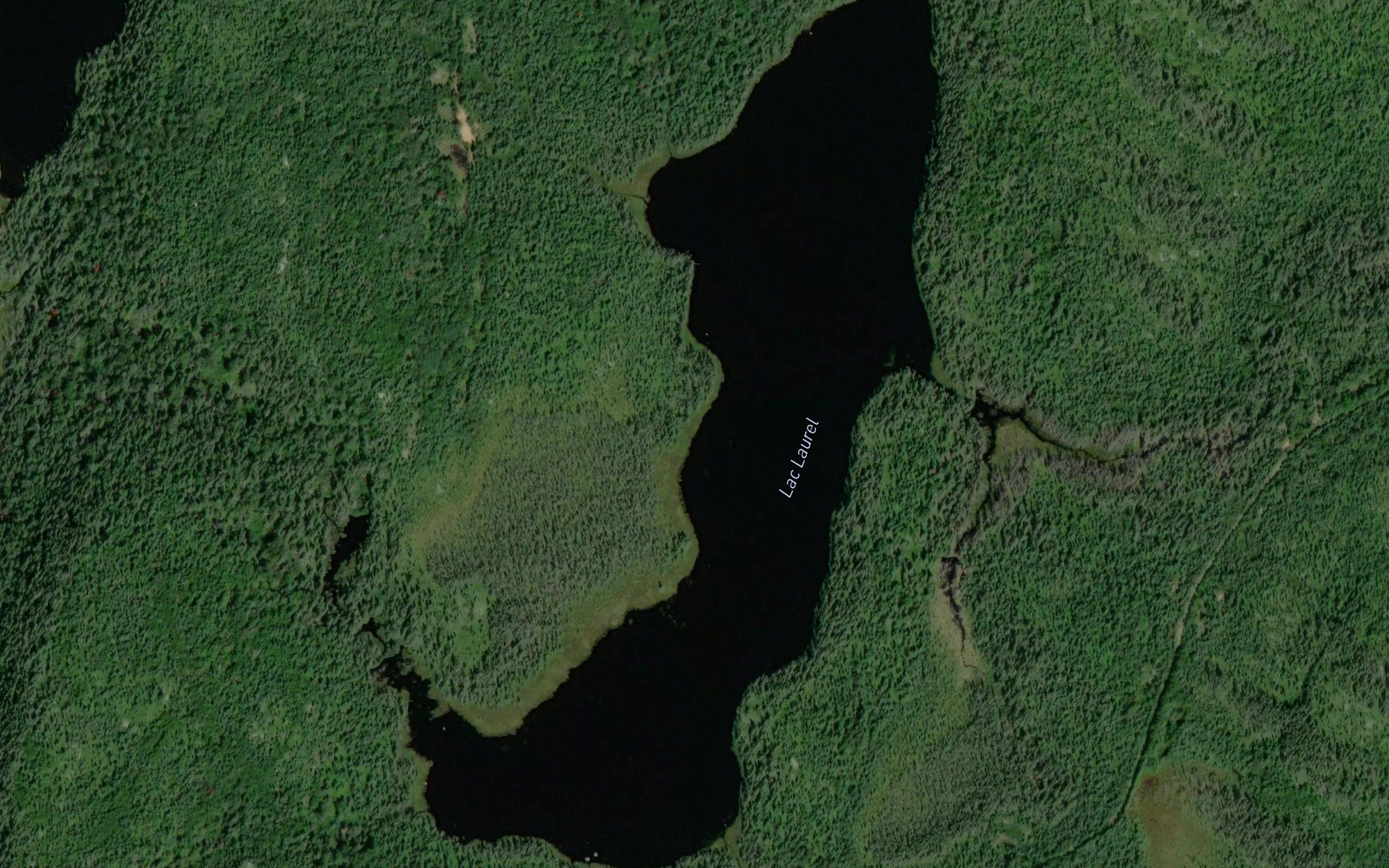 Lac Laurel