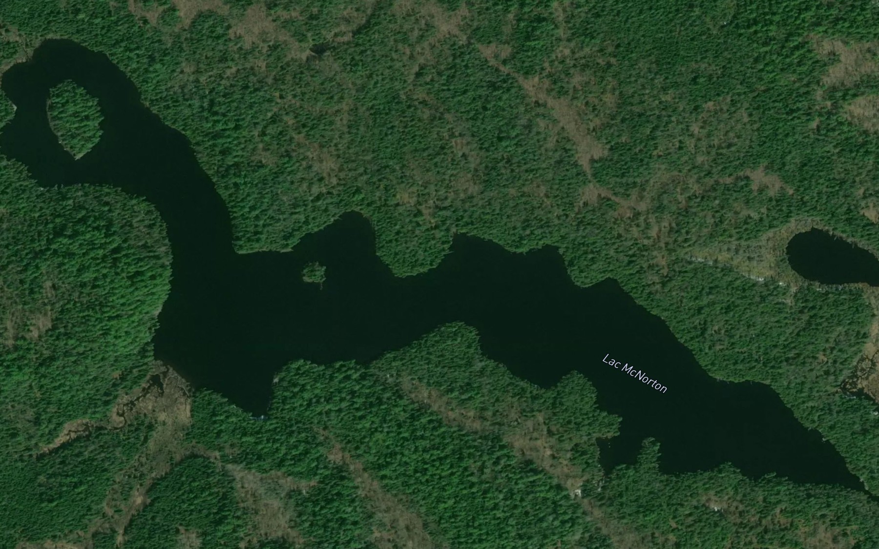 Satellite map of the Lac McNorton