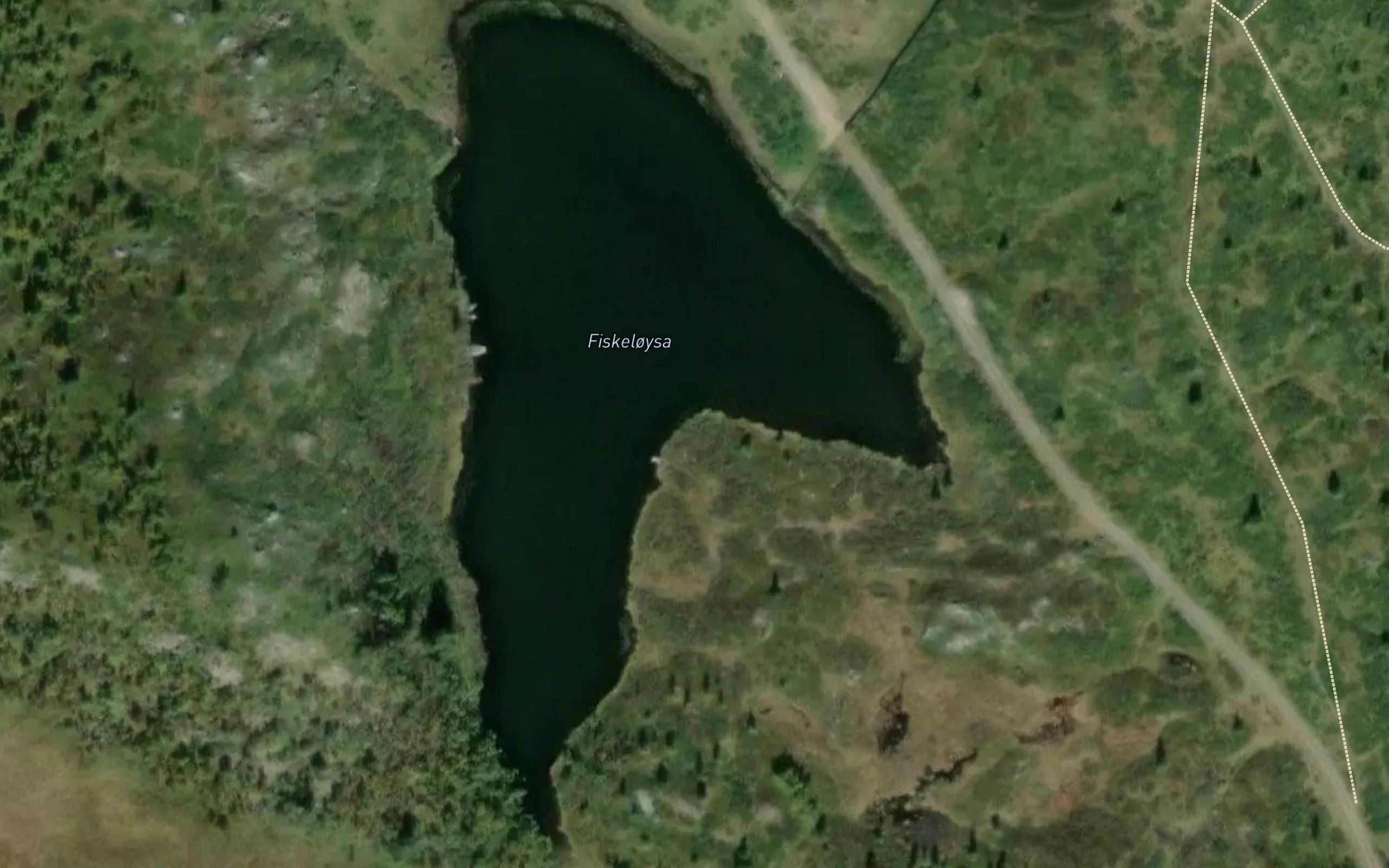Fiskeloysa