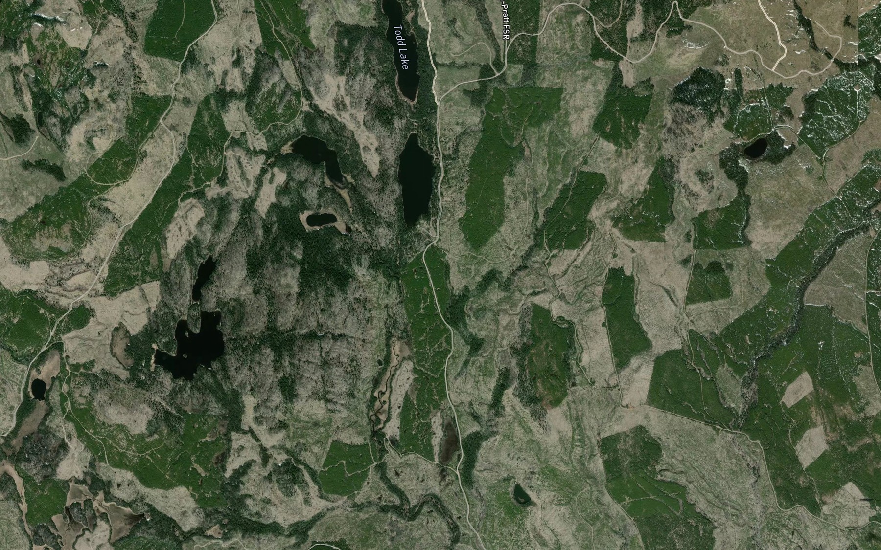 Satellite map of the Pratt Creek