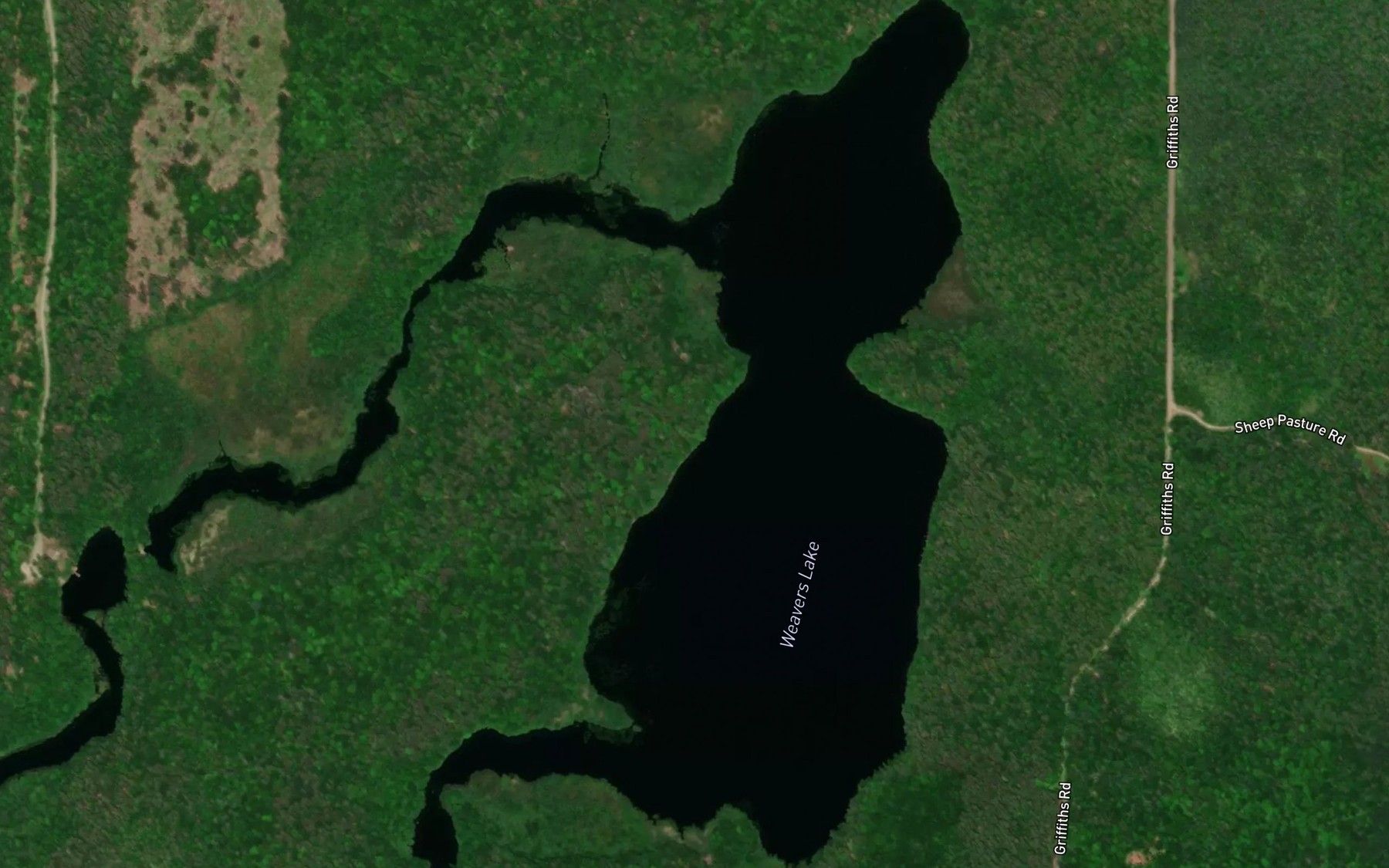 Satellite map of the Weavers Lake
