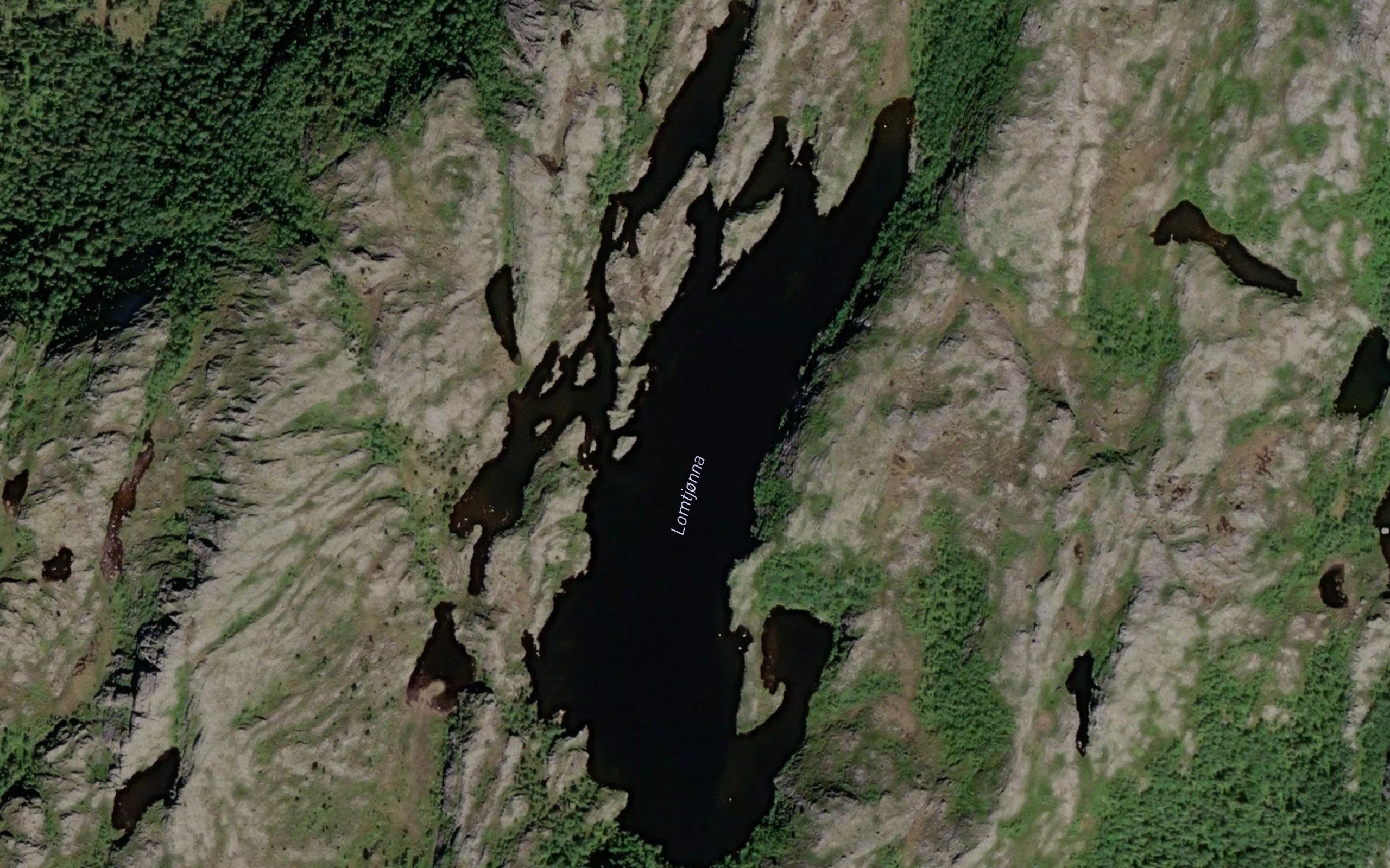 Lomtjonna