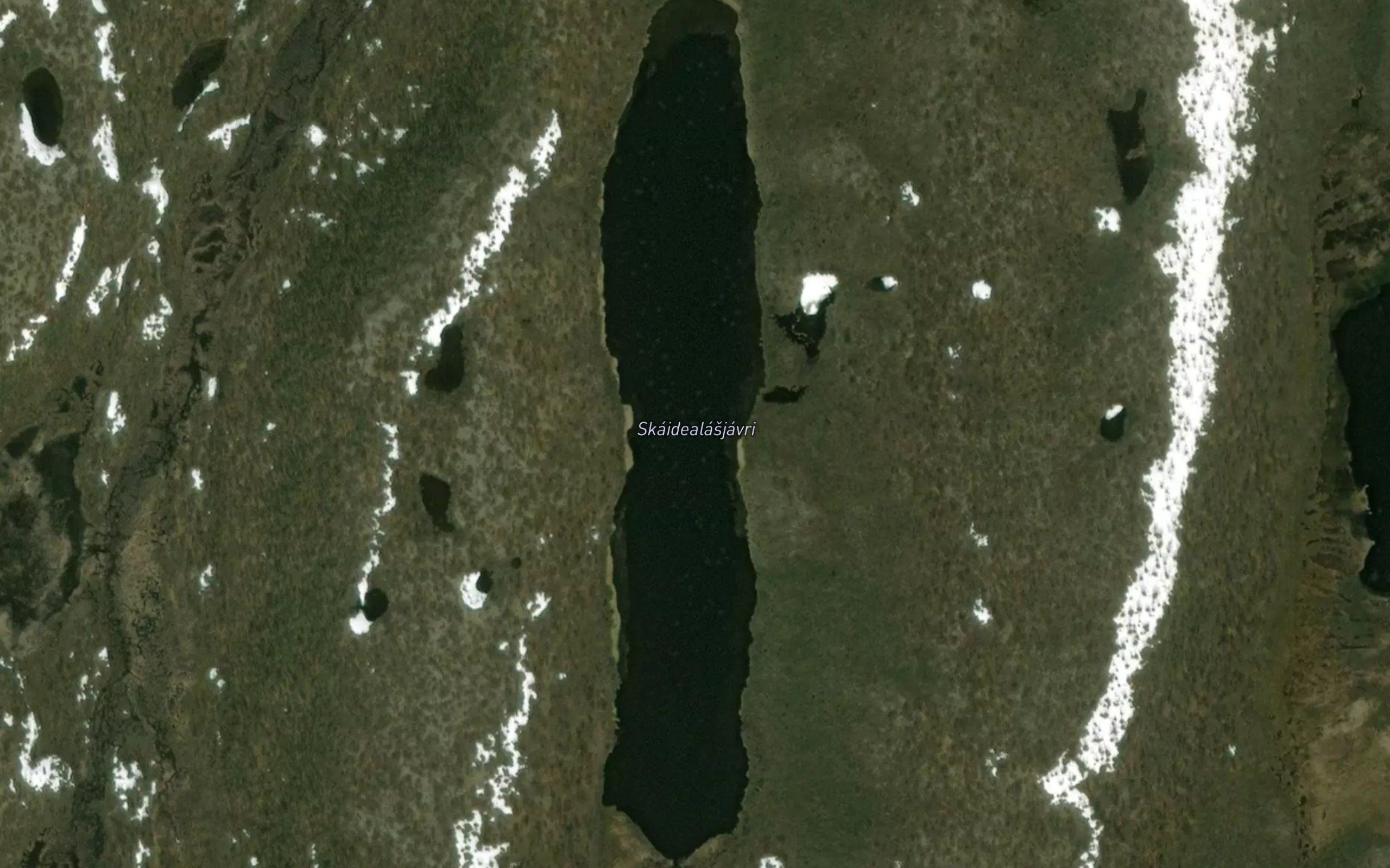 Skaidealasjavri