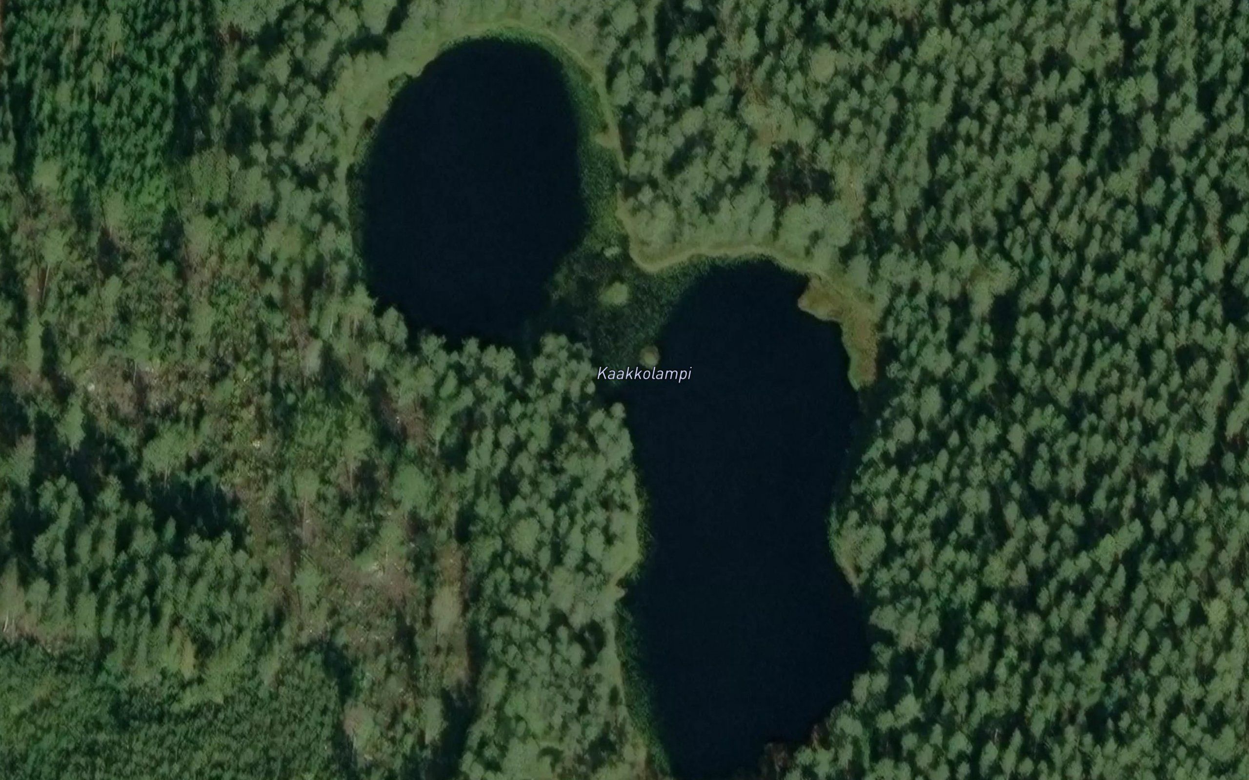 Kaakkolampi