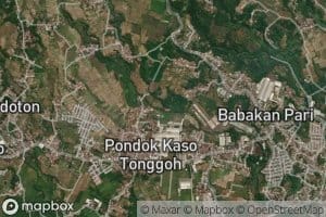 Ci Taman