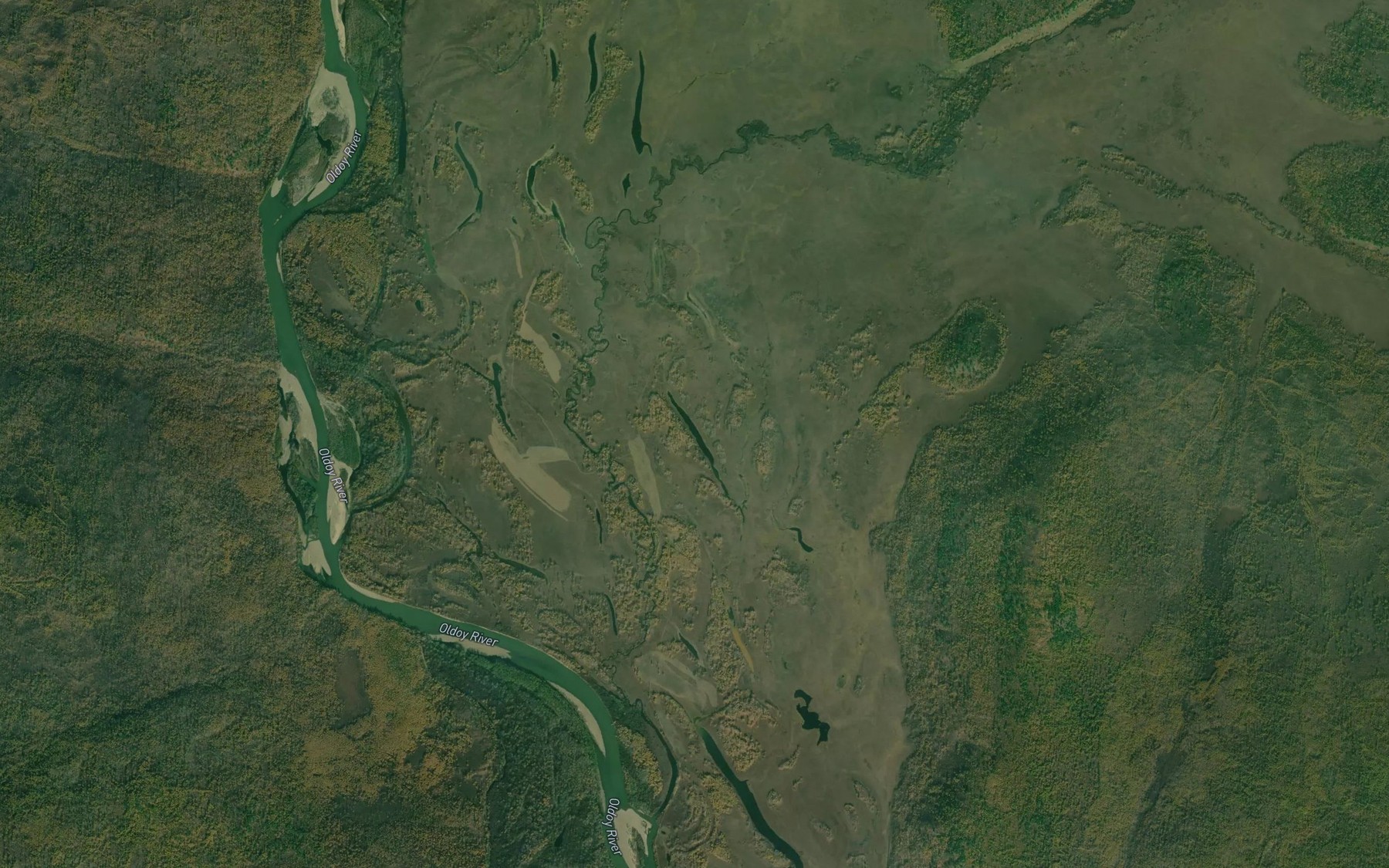 Satellite map of the Ozero Kollektivnoye