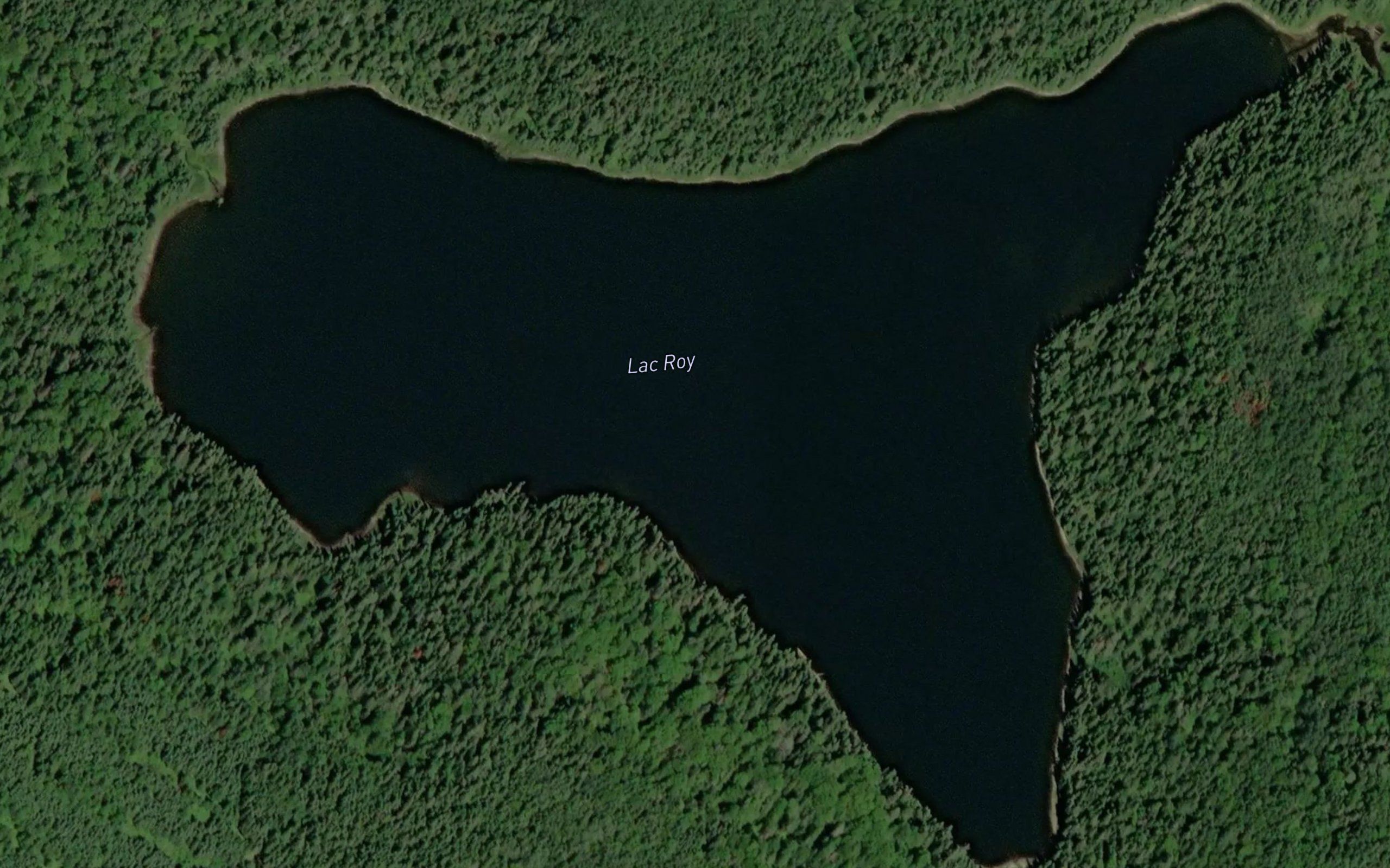 Lac Roy