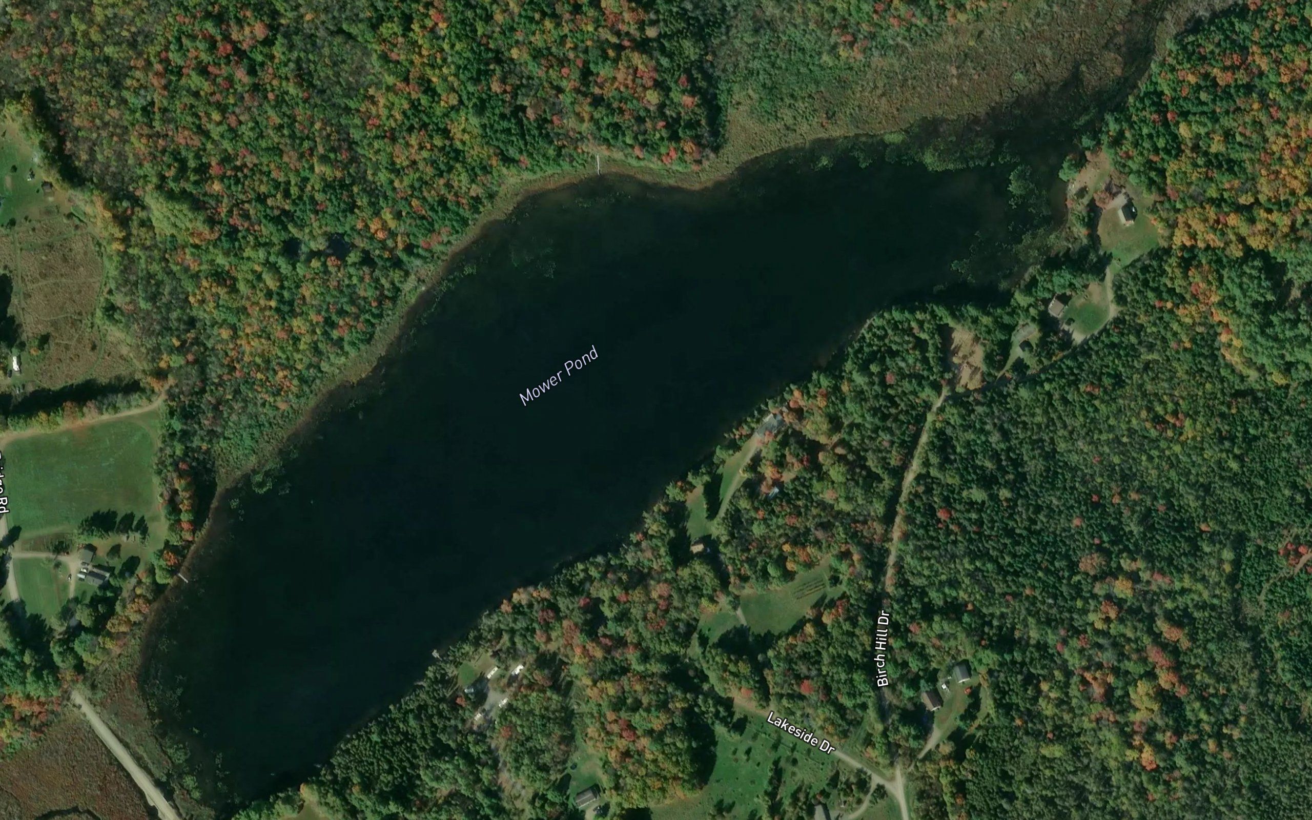 Mower Pond