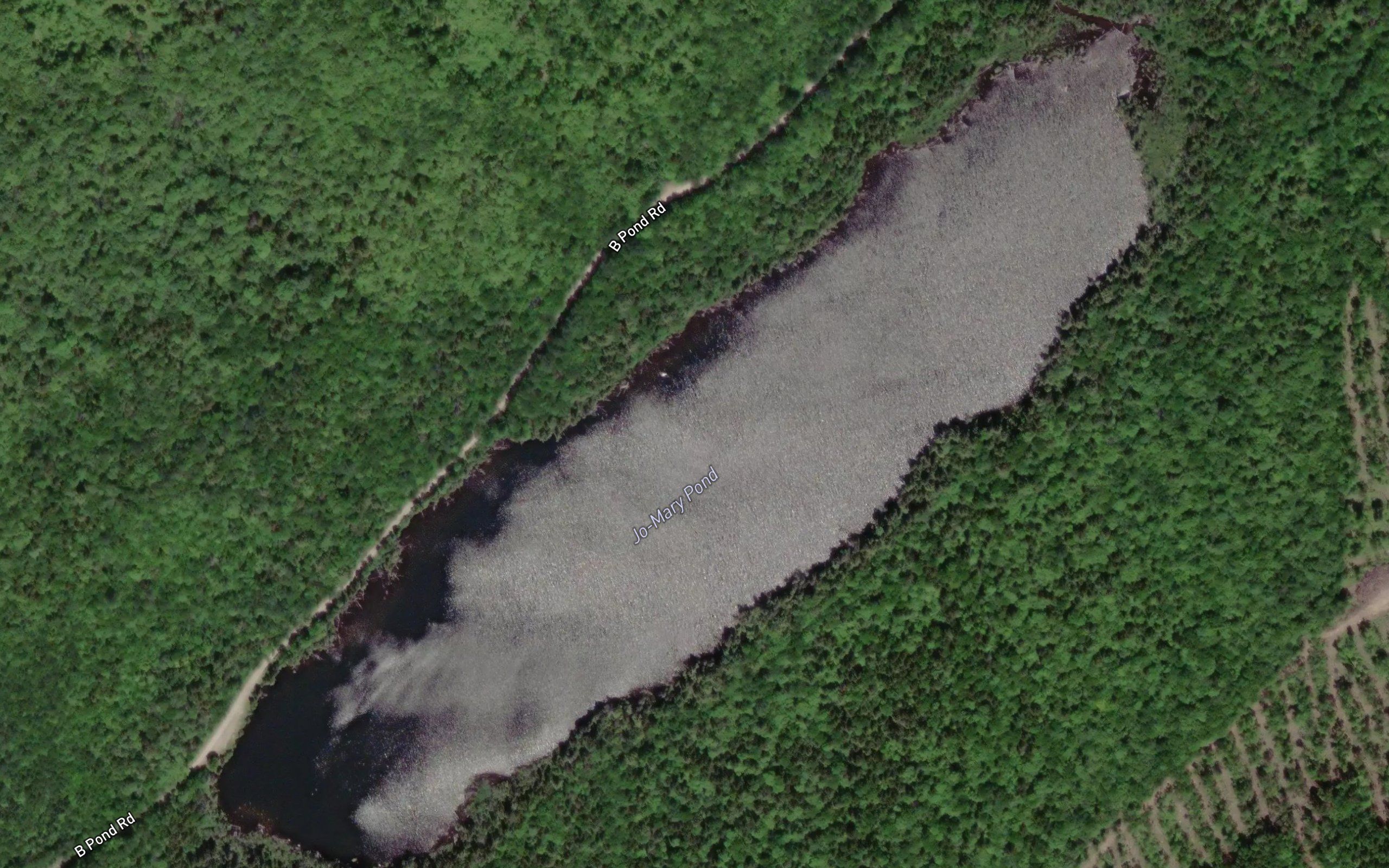Jo-Mary Pond