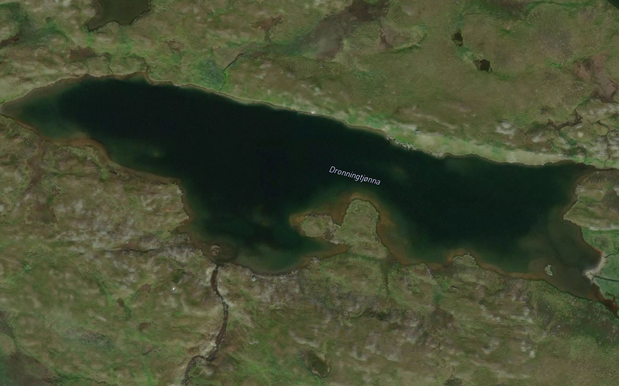 Dronningtjorna
