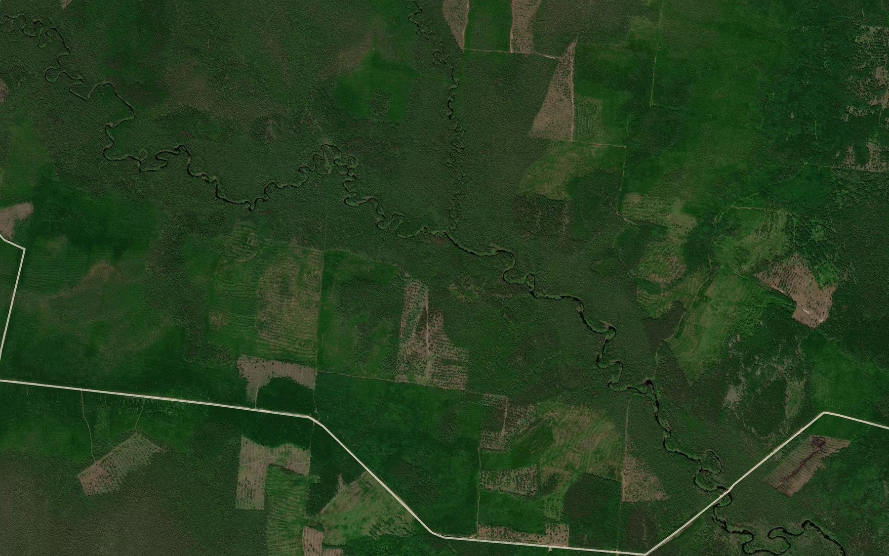 Satellite map of the Nist'