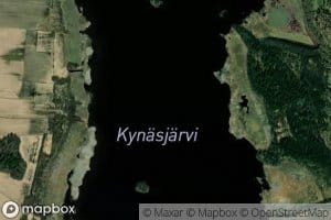 Kynasjarvi