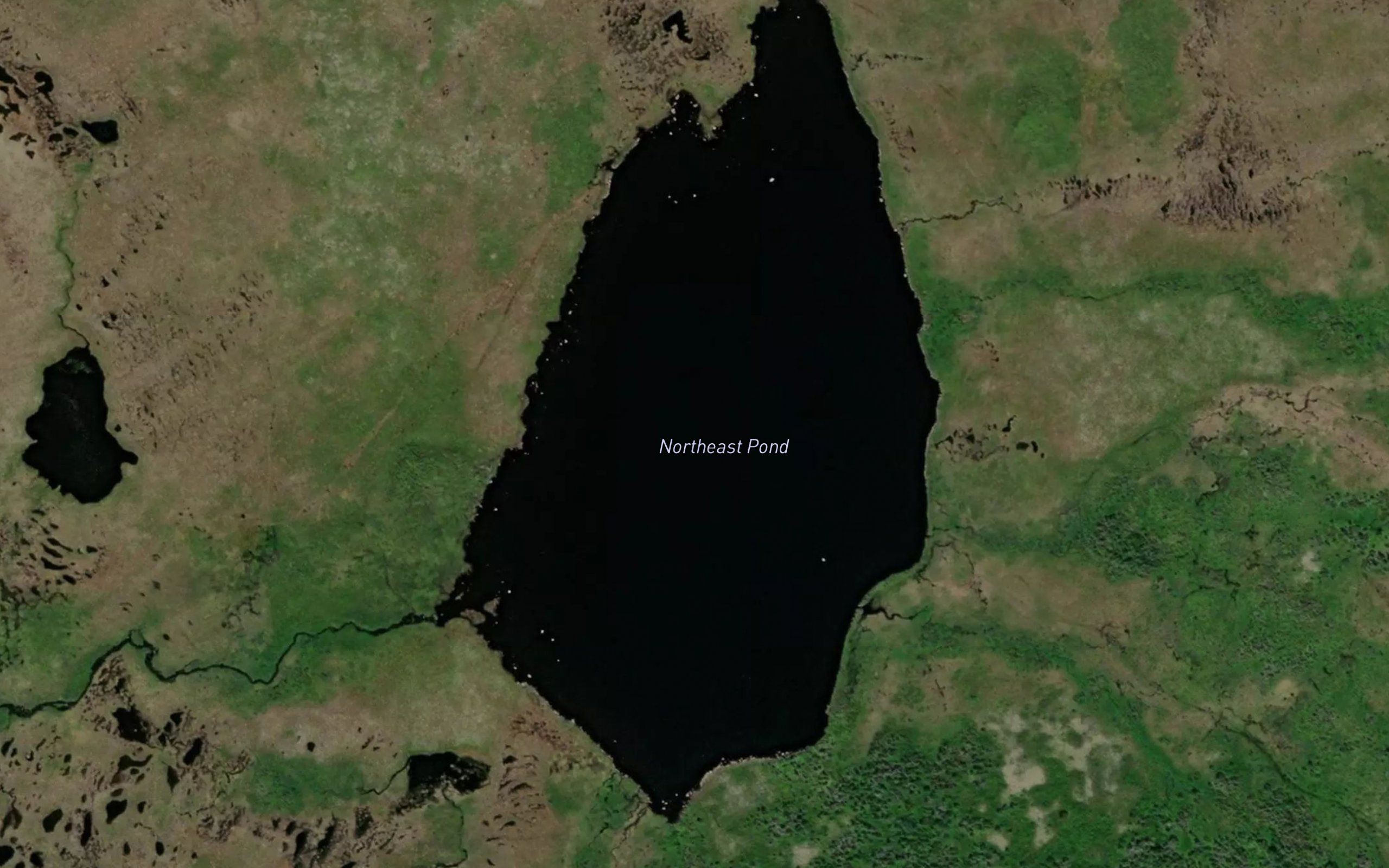 Northeast Pond