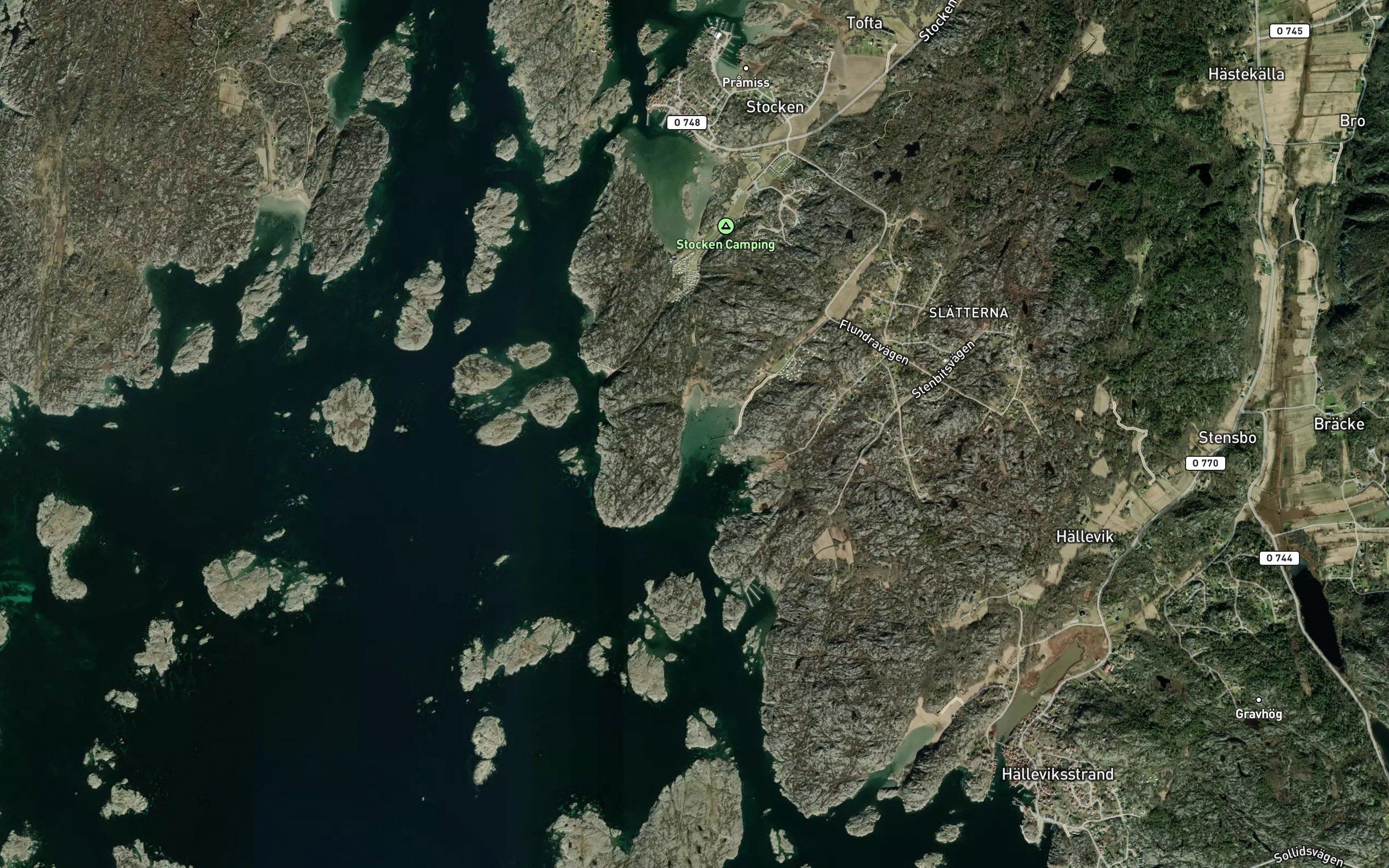Kattevik