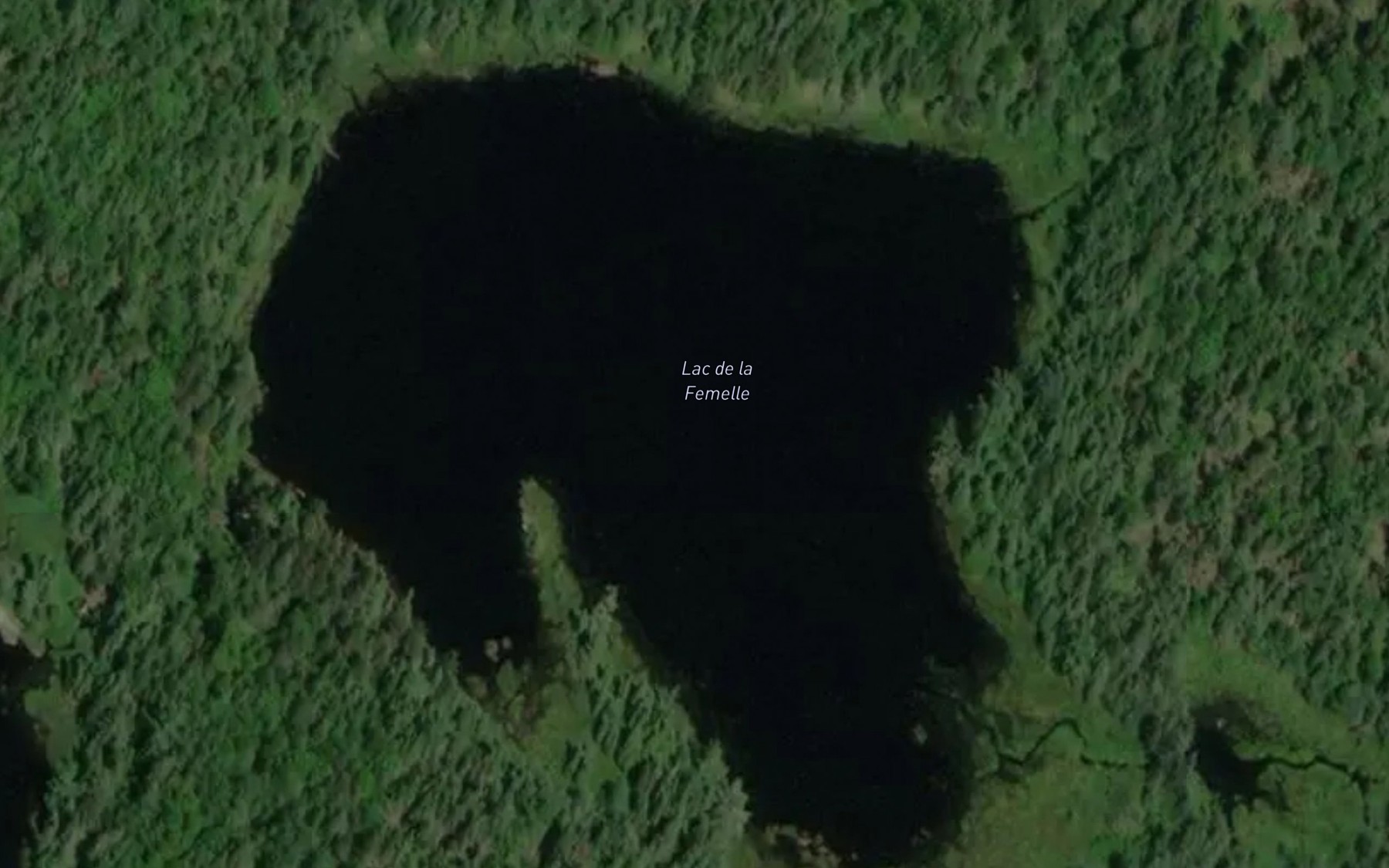 Satellite map of the Lac de la Femelle