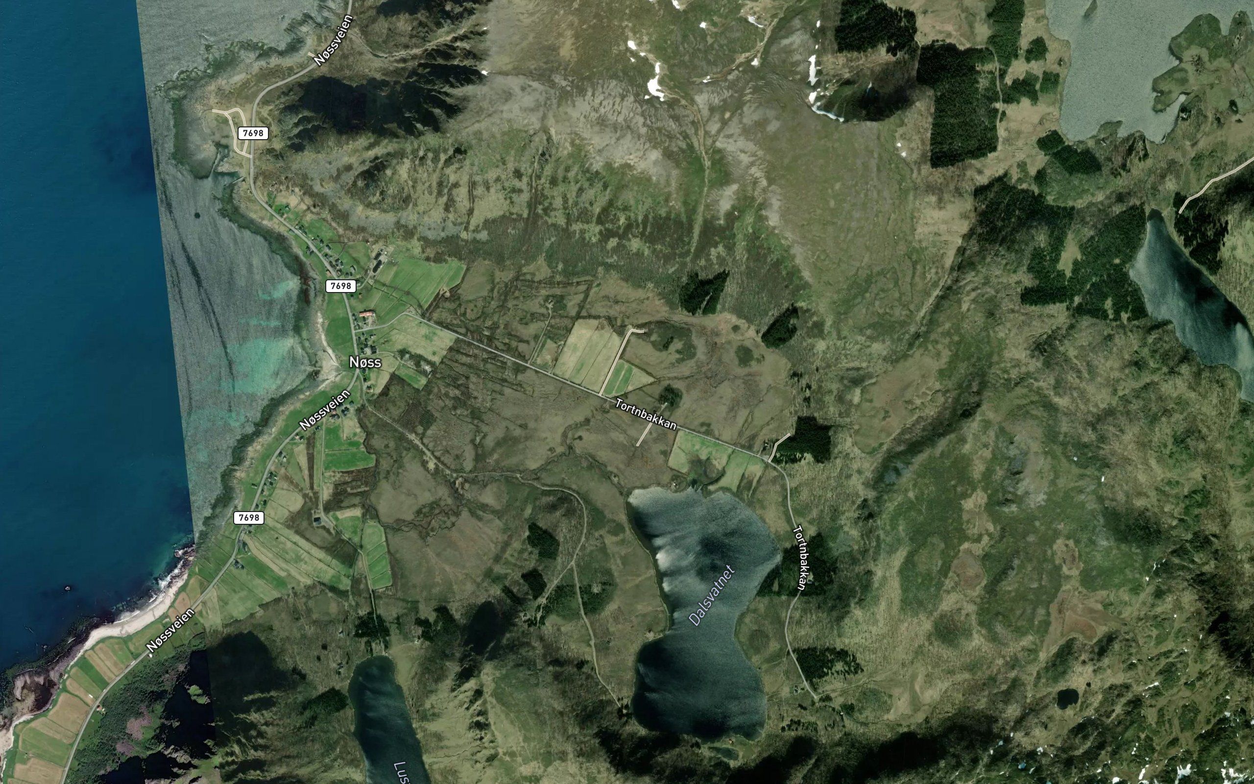 Skogrostan