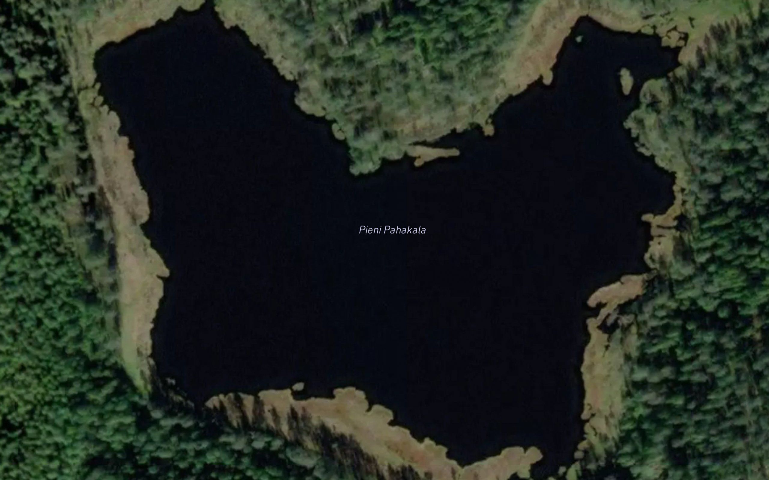 Pieni Pahakala