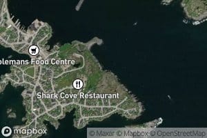 Shark Cove