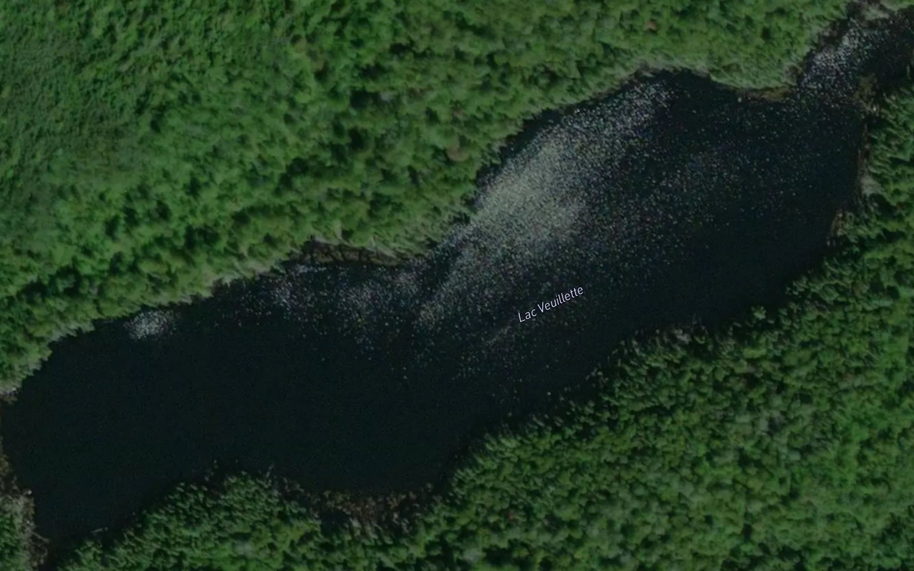 Satellite map of the Lac Veuillette