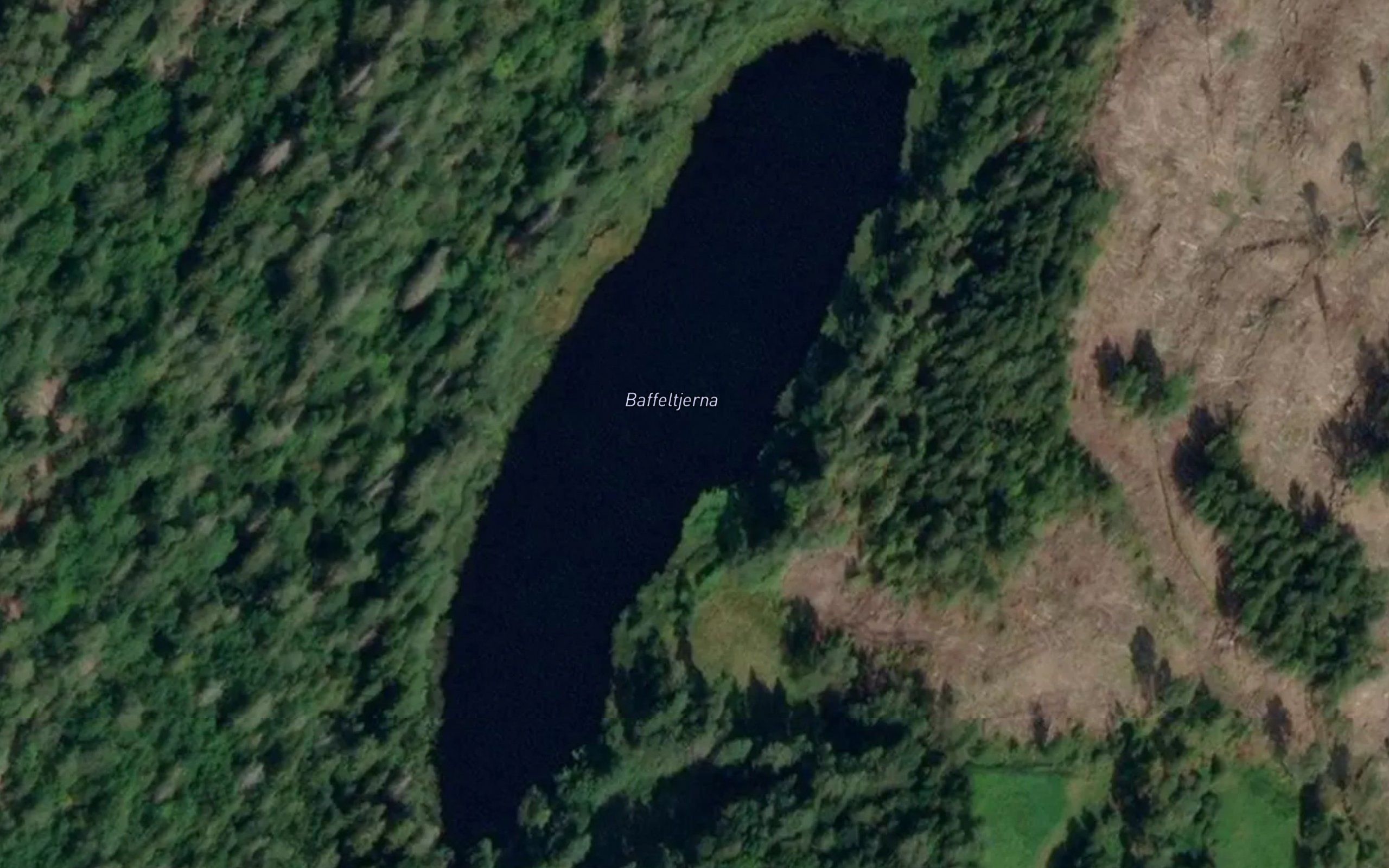 Baffeltjerna