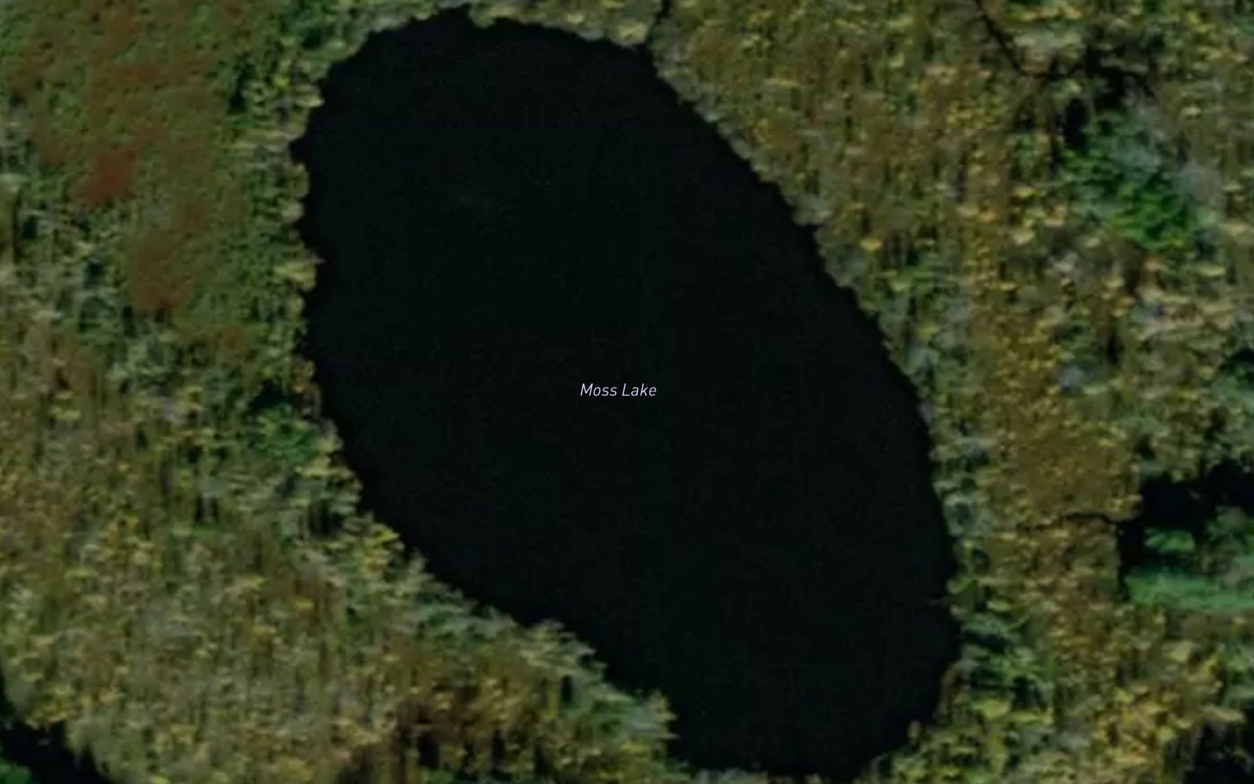 Moss Lake