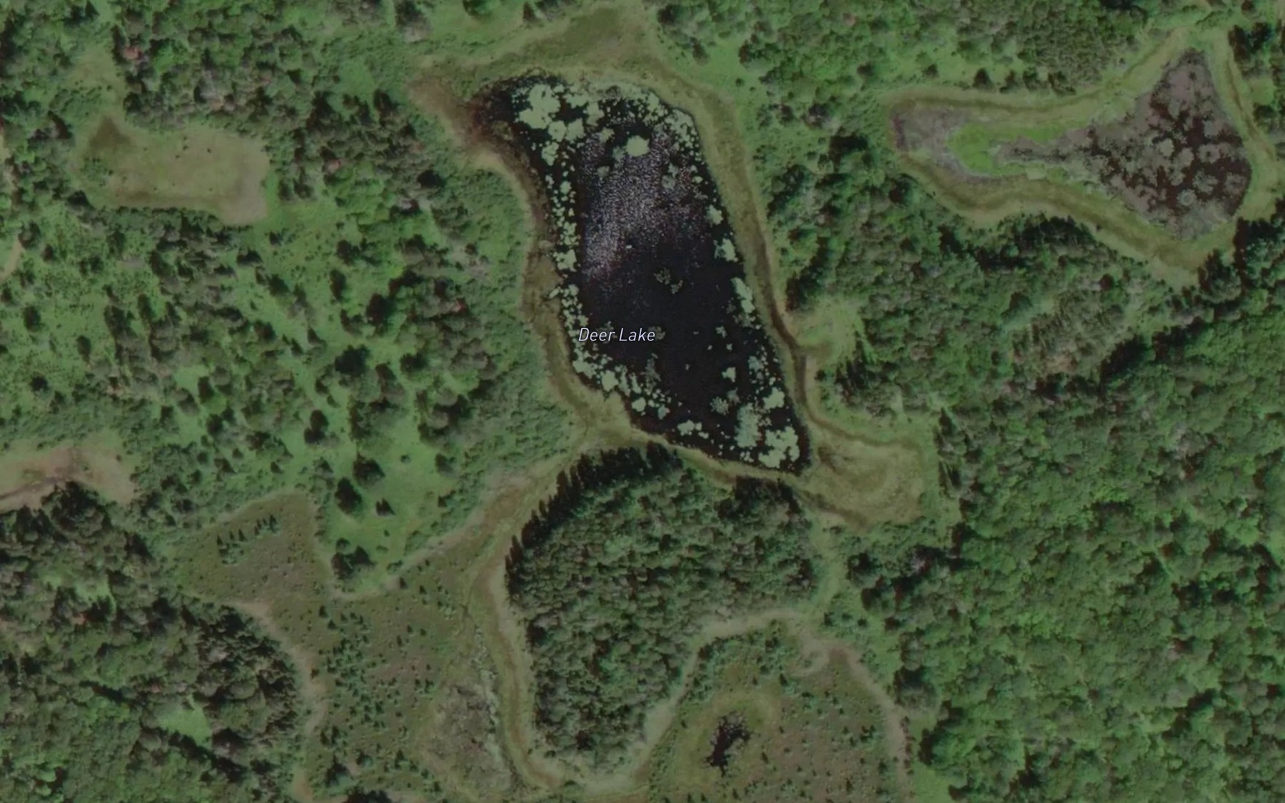 Satellite map of the Deer Lake