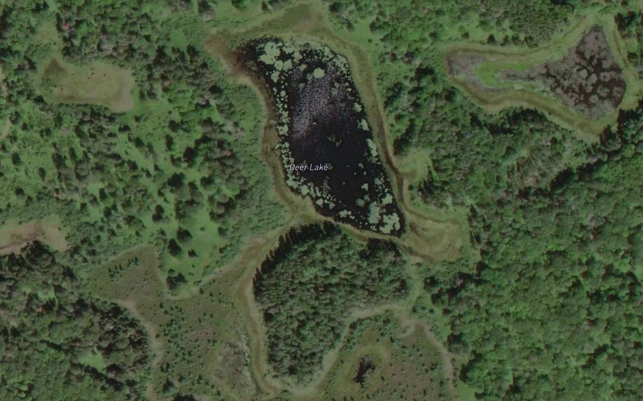 Deer Lake