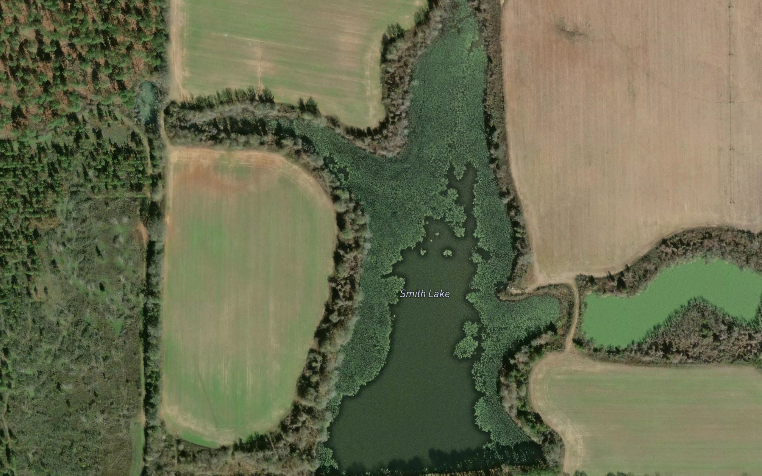 Smith Lake