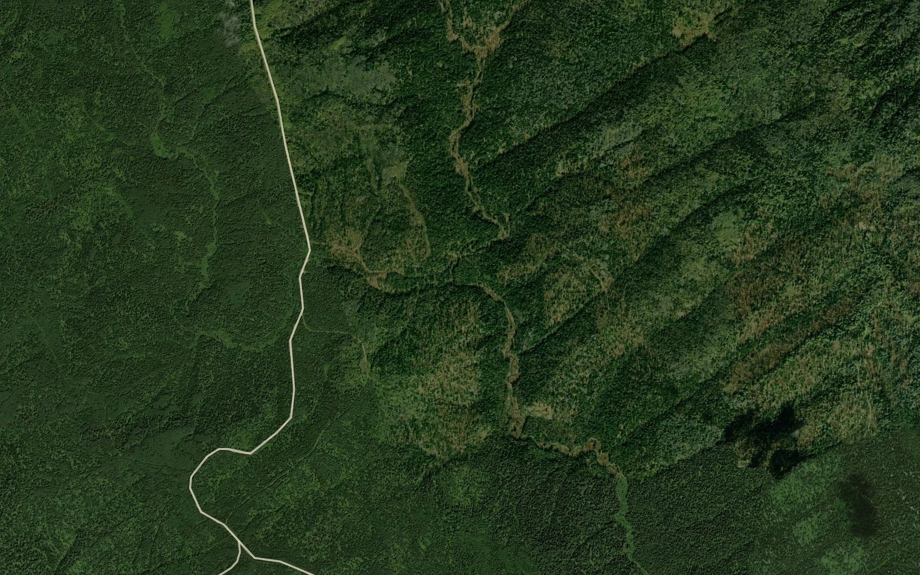 Satellite map of the Bol'shaya