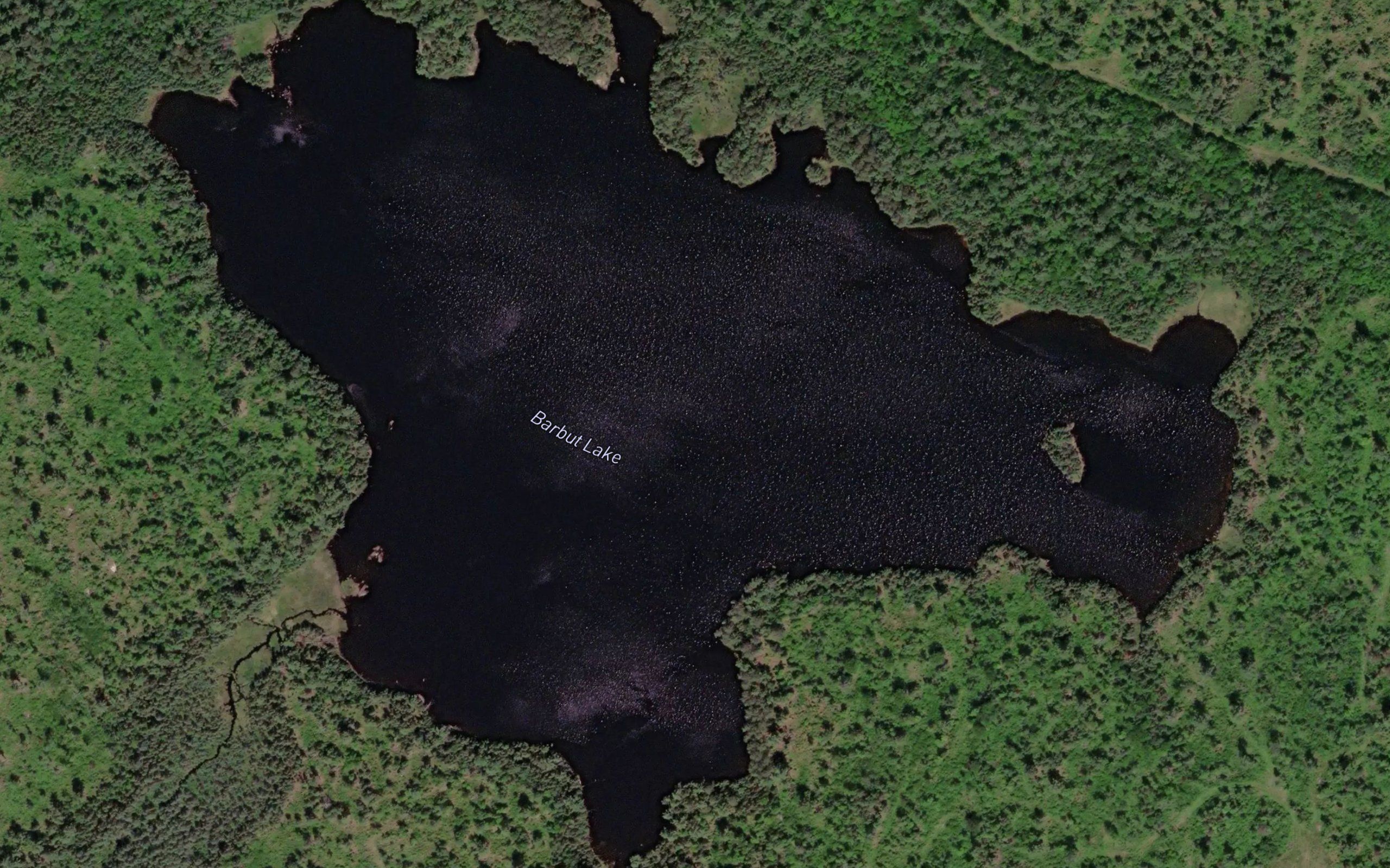 Barbut Lake