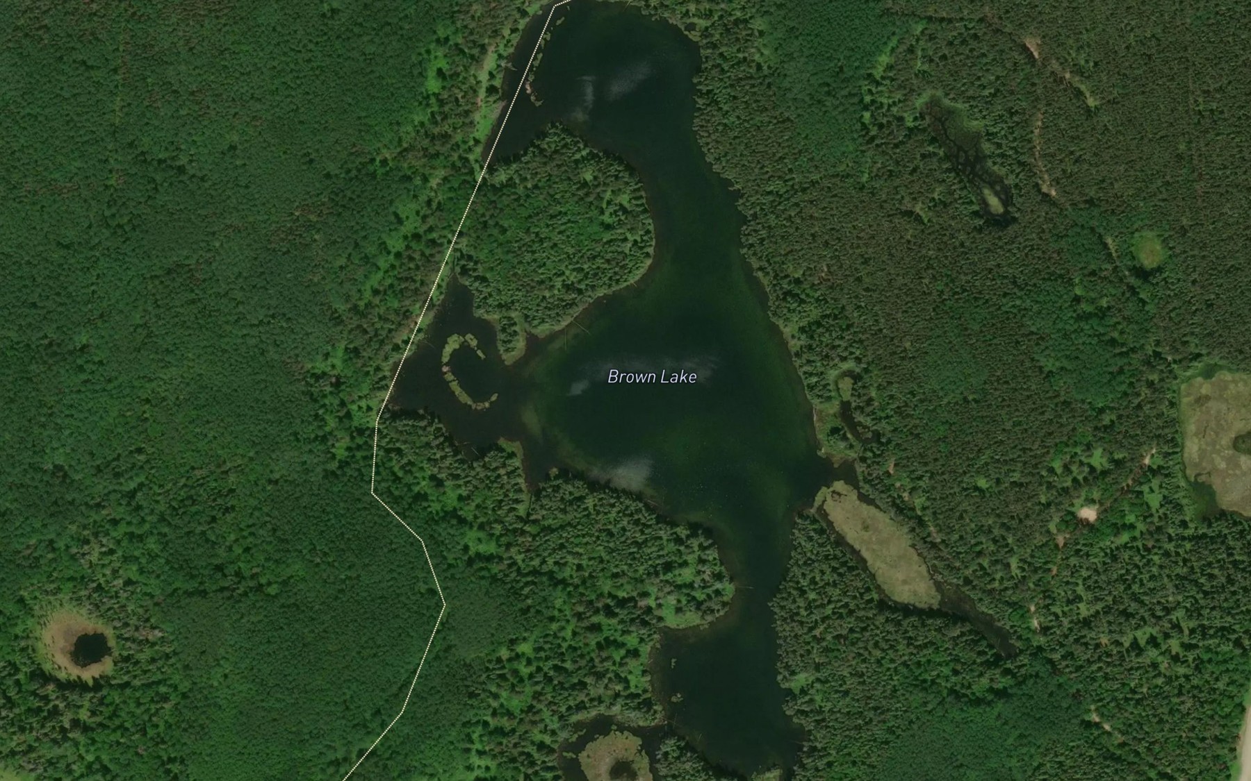 Satellite map of the Brown Lake