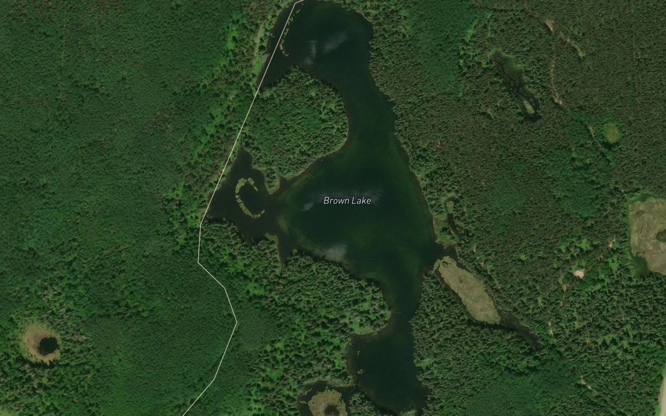 Brown Lake